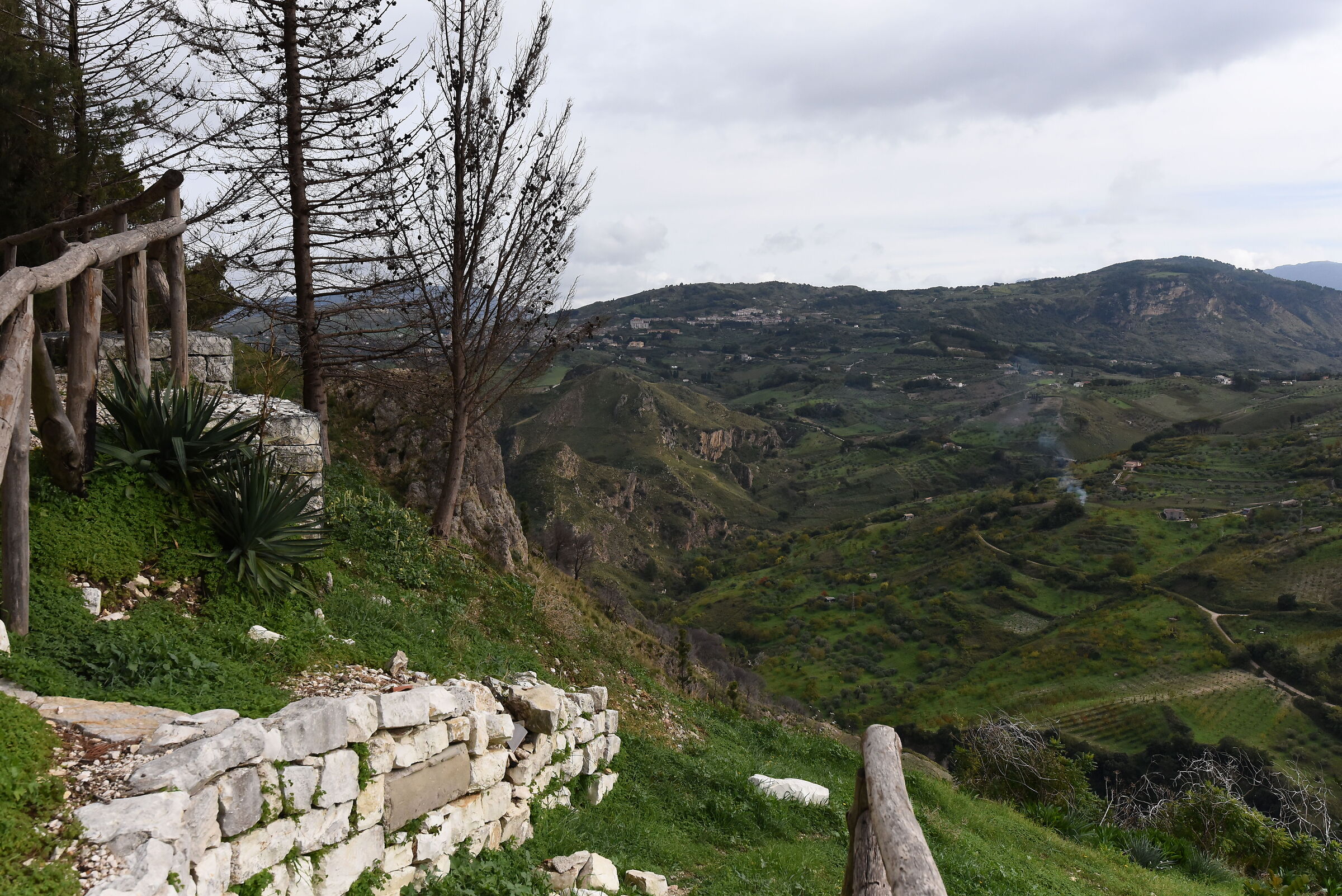 " ISO 2.0 0 0 ", F. 8, 1/ 4.0 0 0- Sigma 28, 1.4 A...