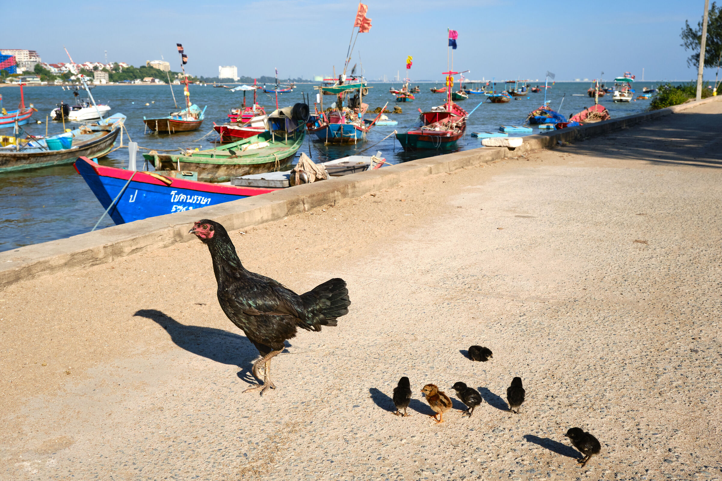 Trip to the sea with family