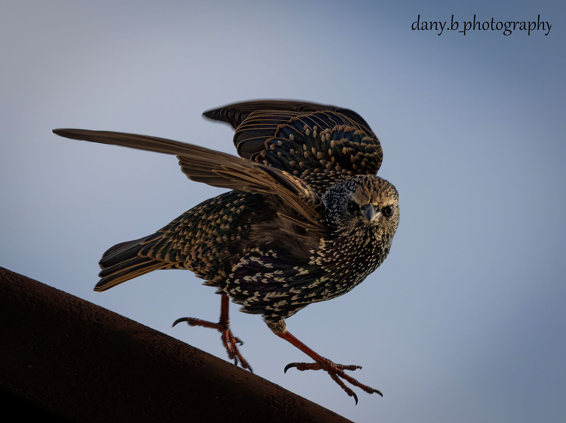 Departure cancellation