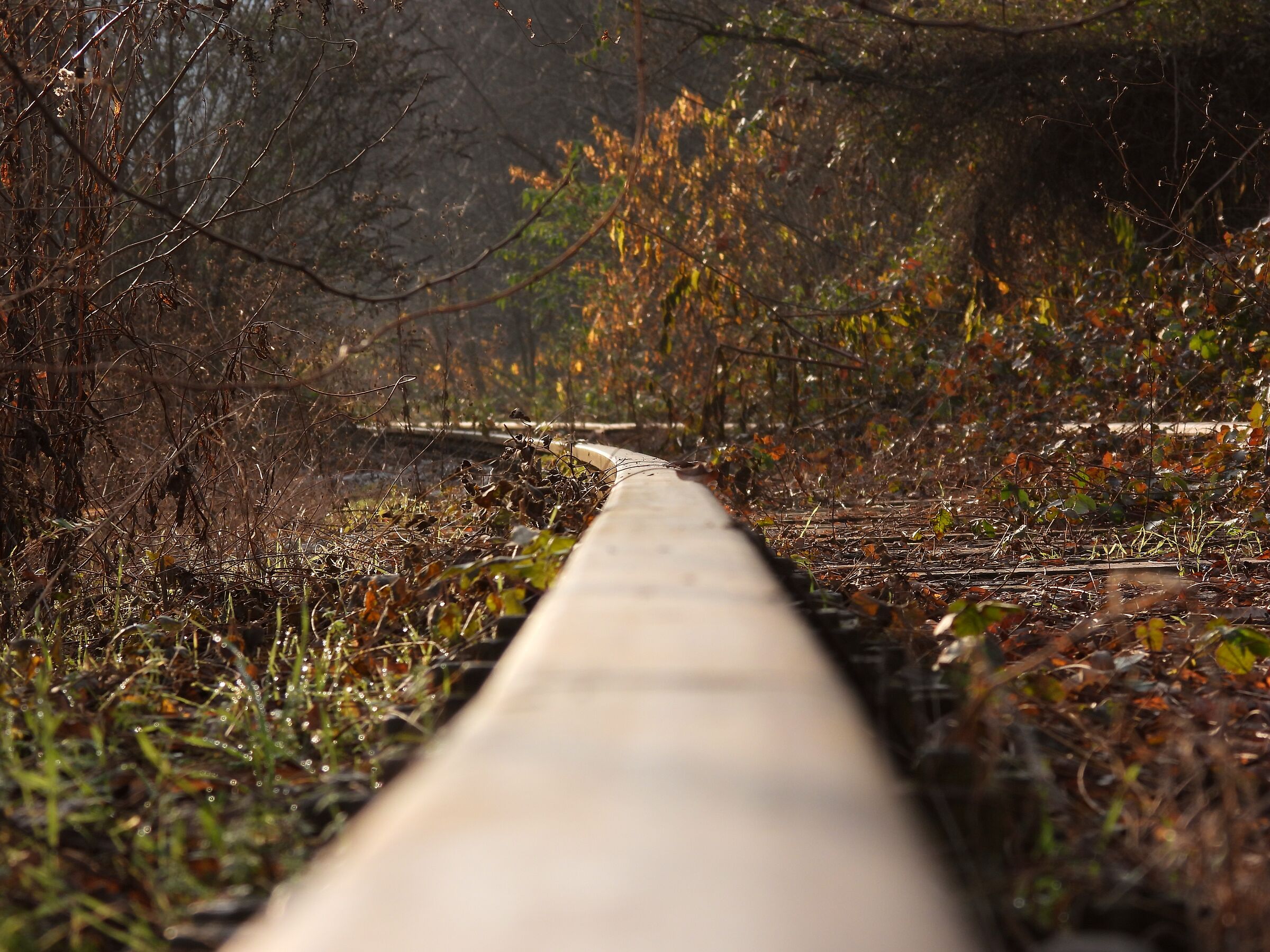 Lanza abandoned railway