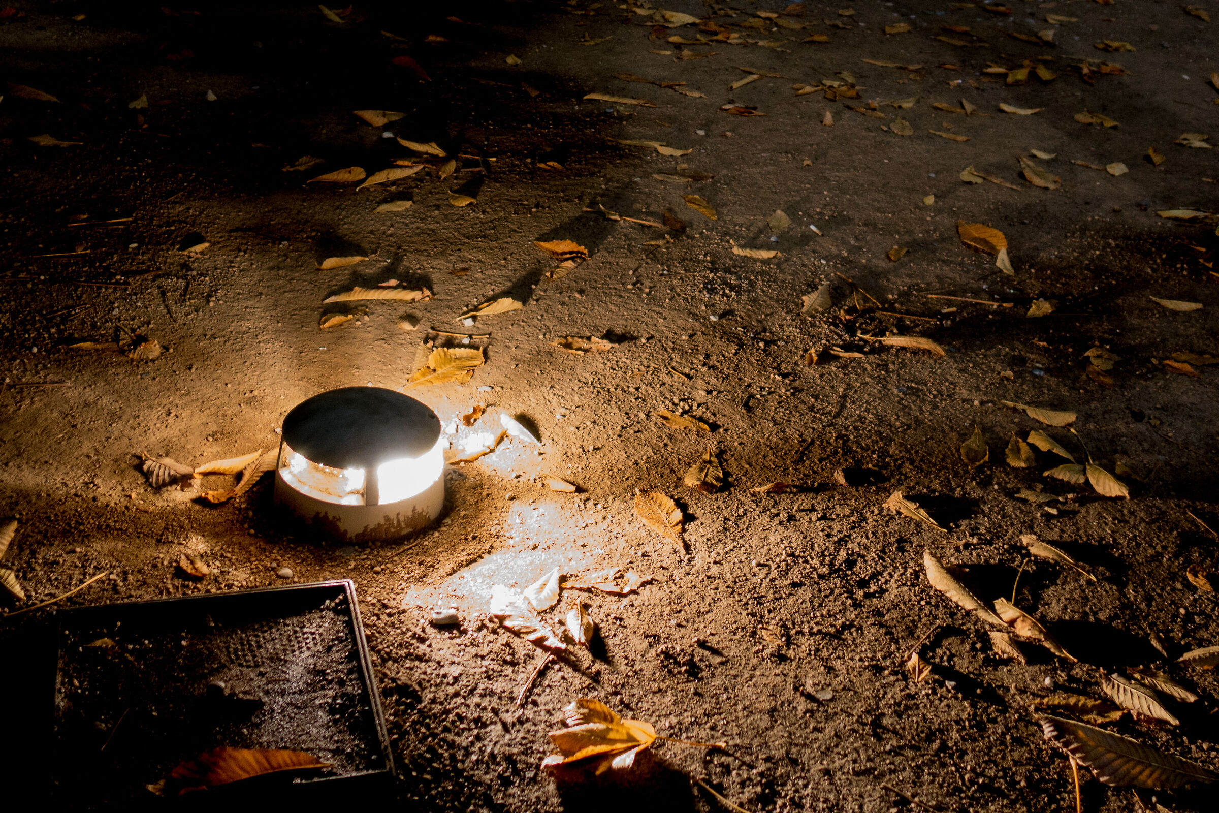 Lost - Faro Focus