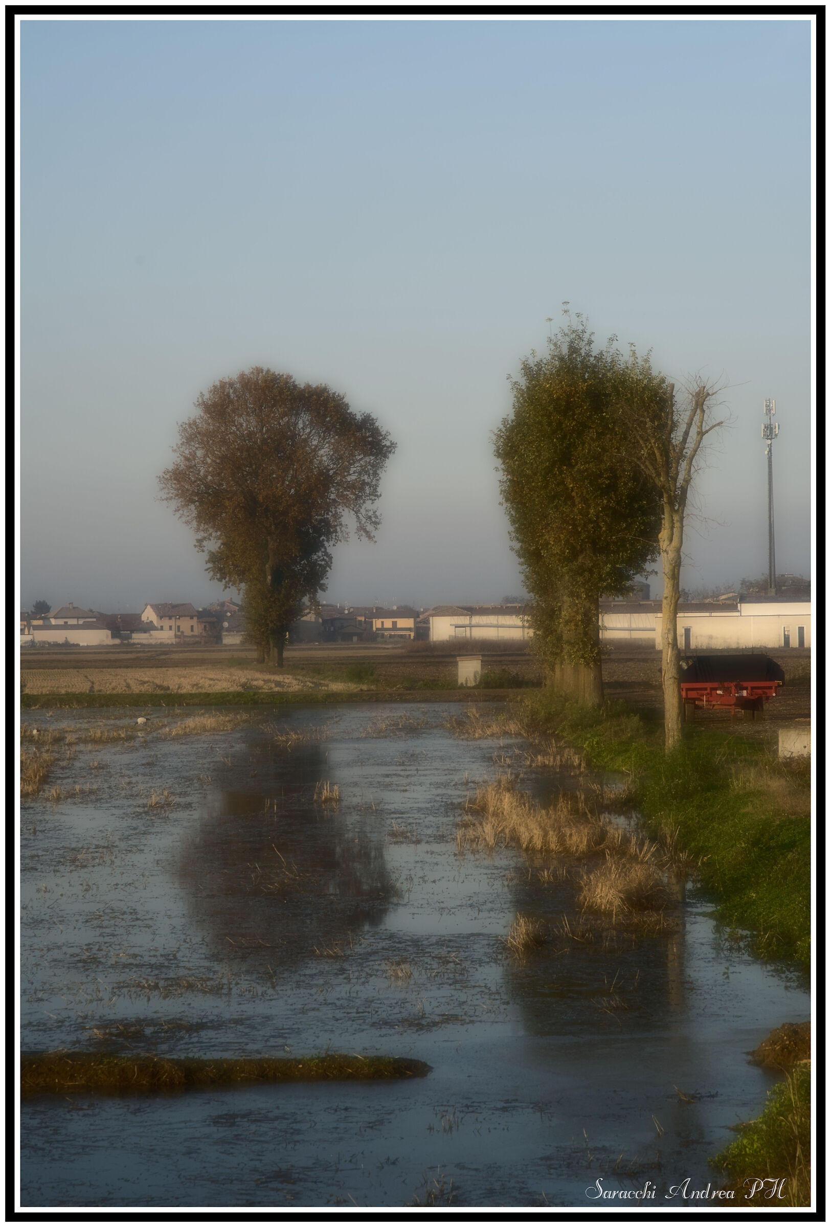 Untitled Photo