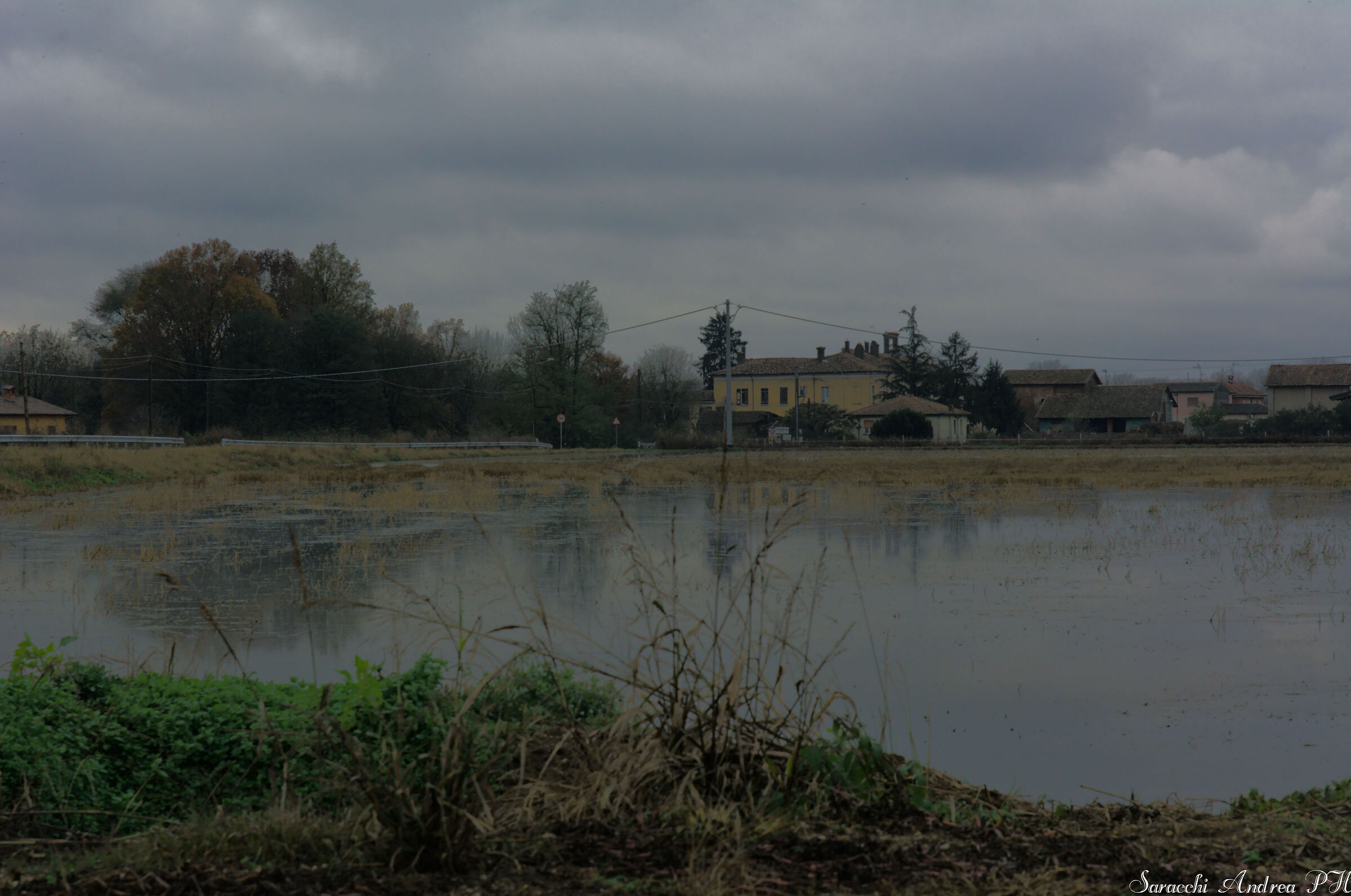 Untitled Photo