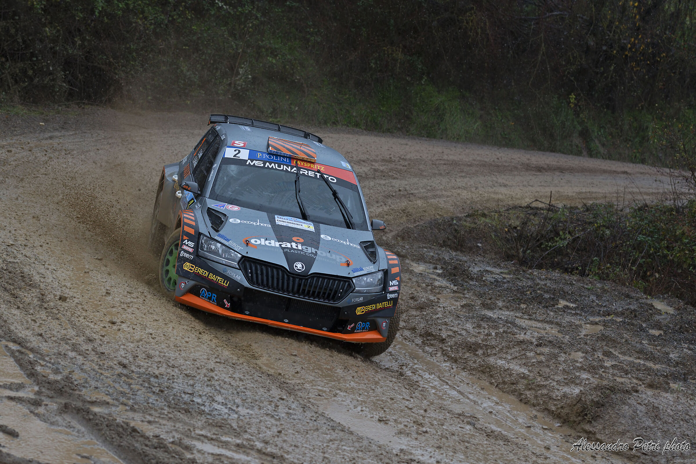 Oldrati De Guio Skoda Fabia R5