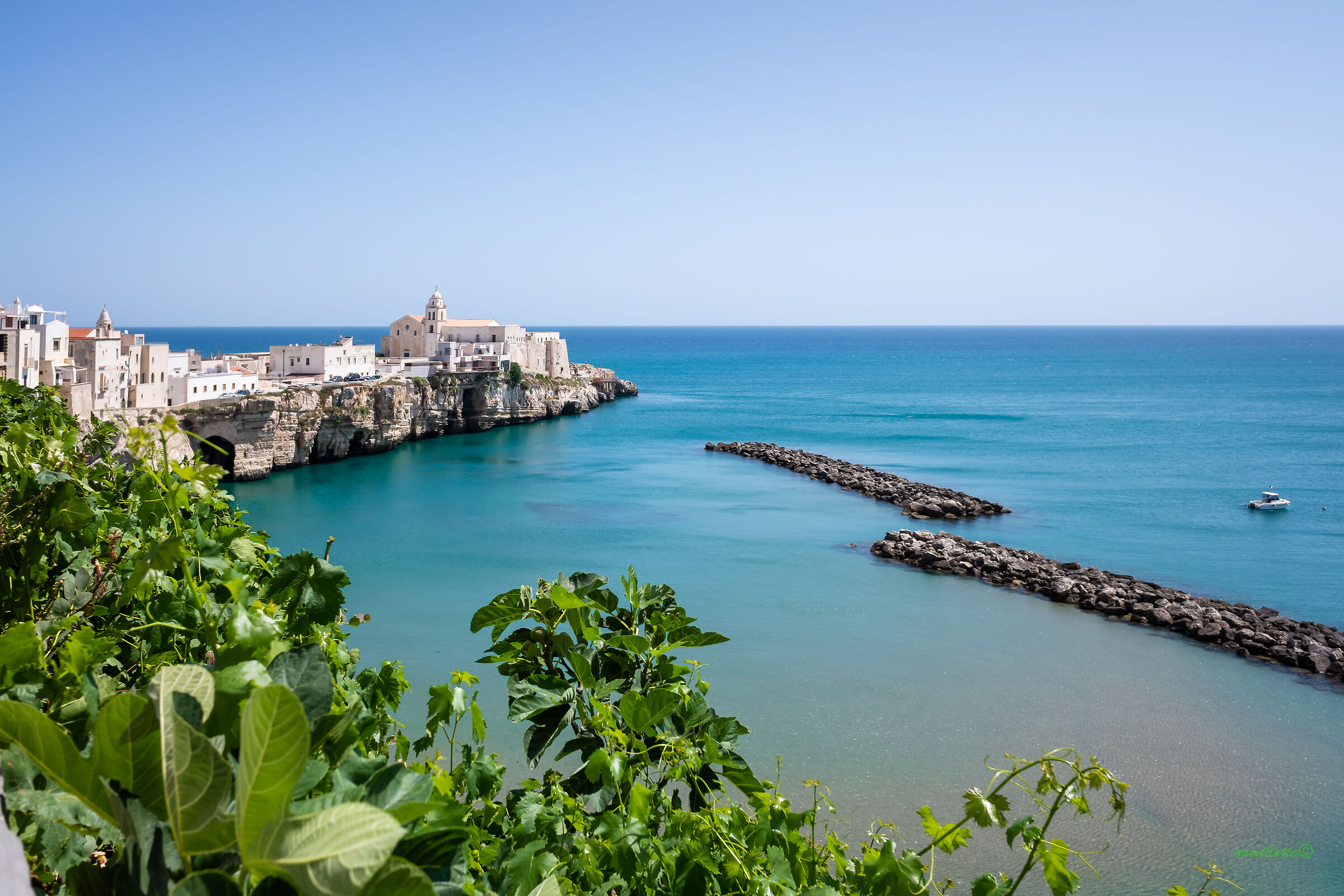vieste