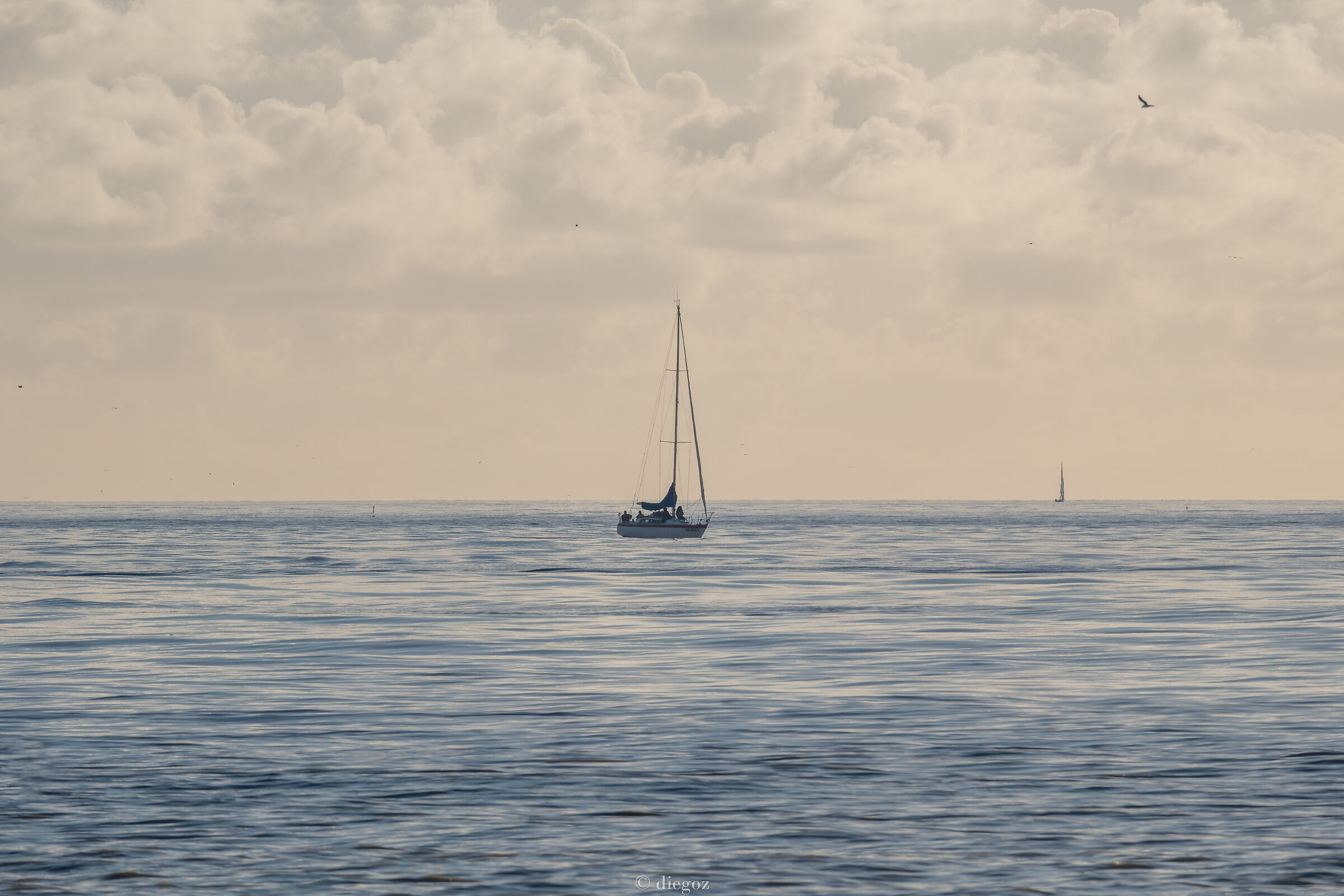 The quiet