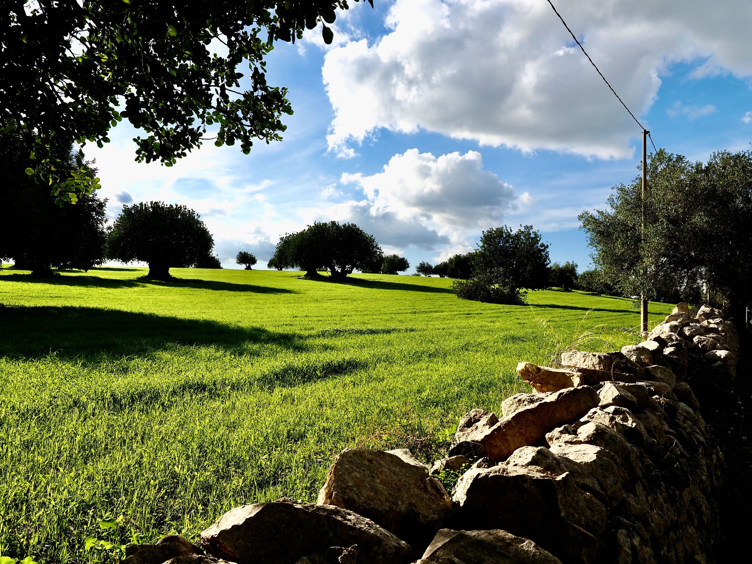Land of Sicily