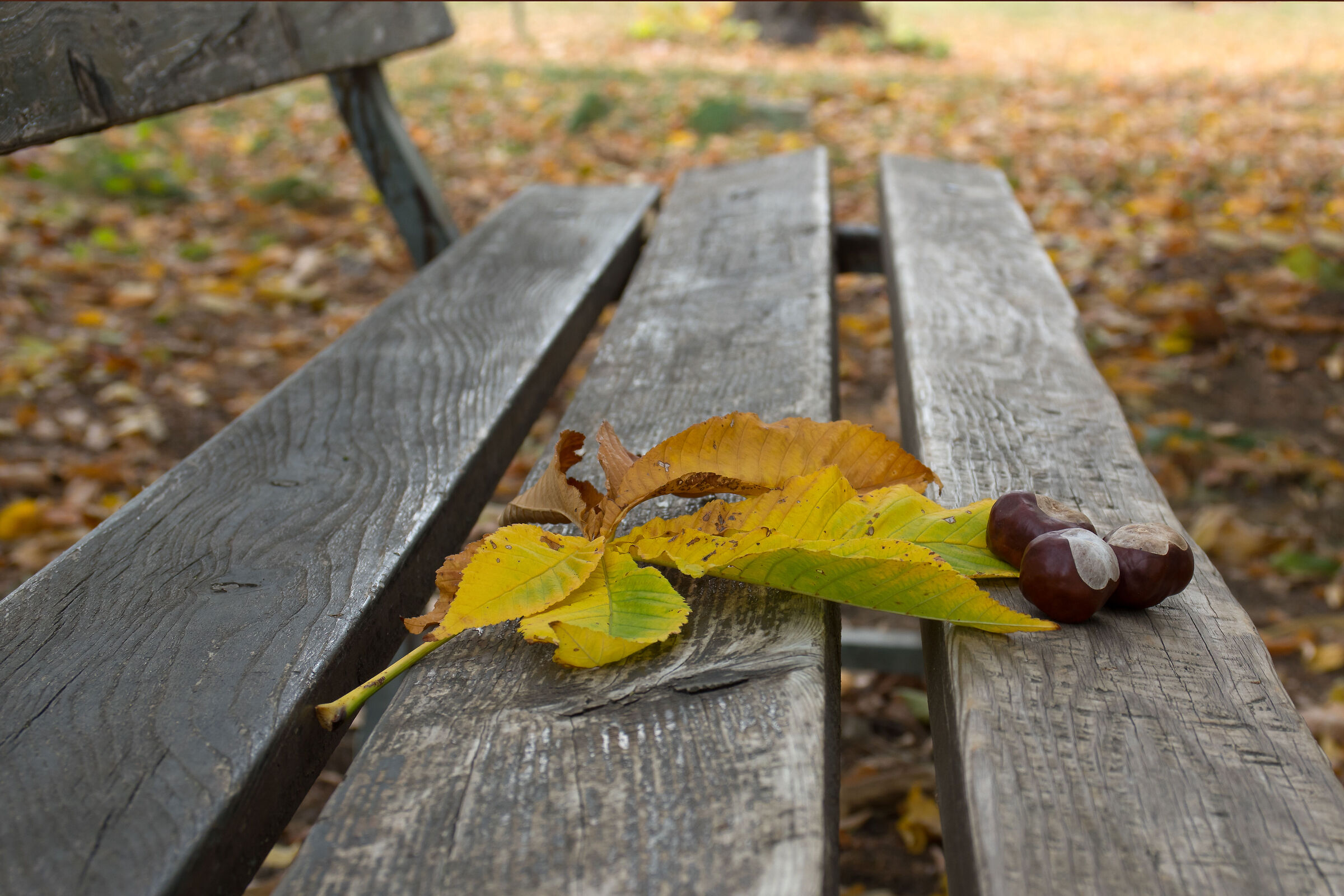 Untitled Photo