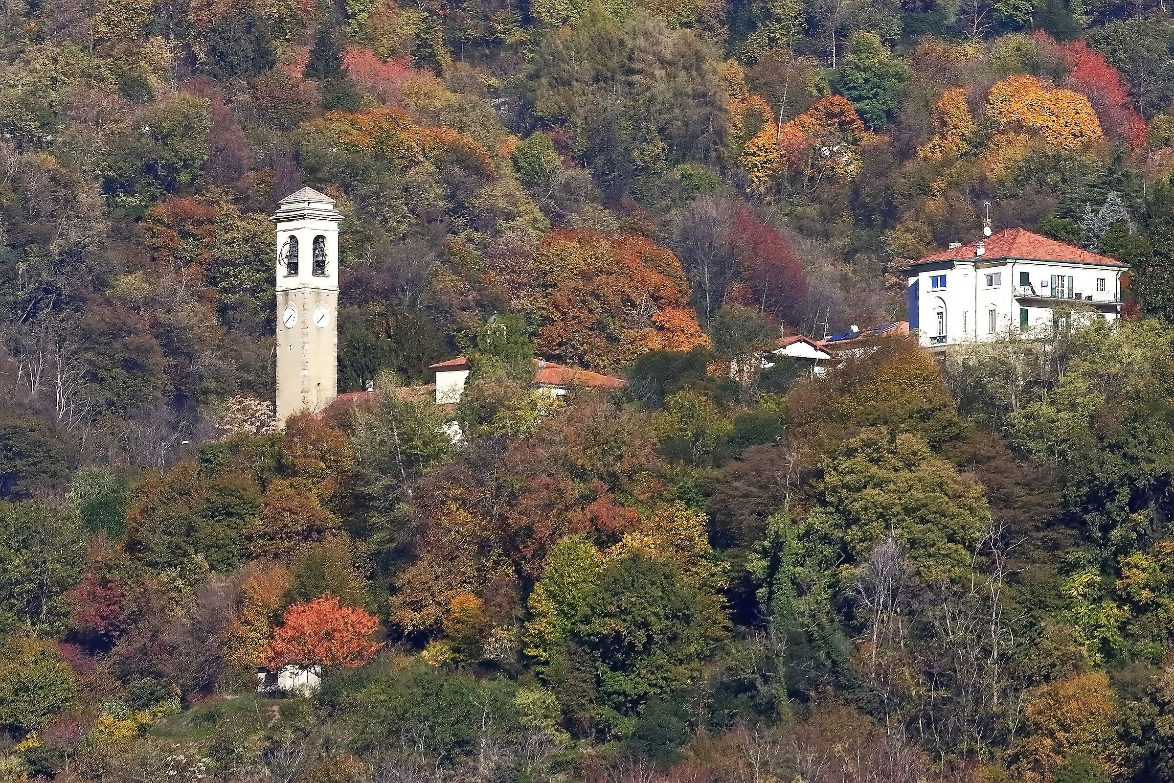 Lorentino 20 novembre 2022