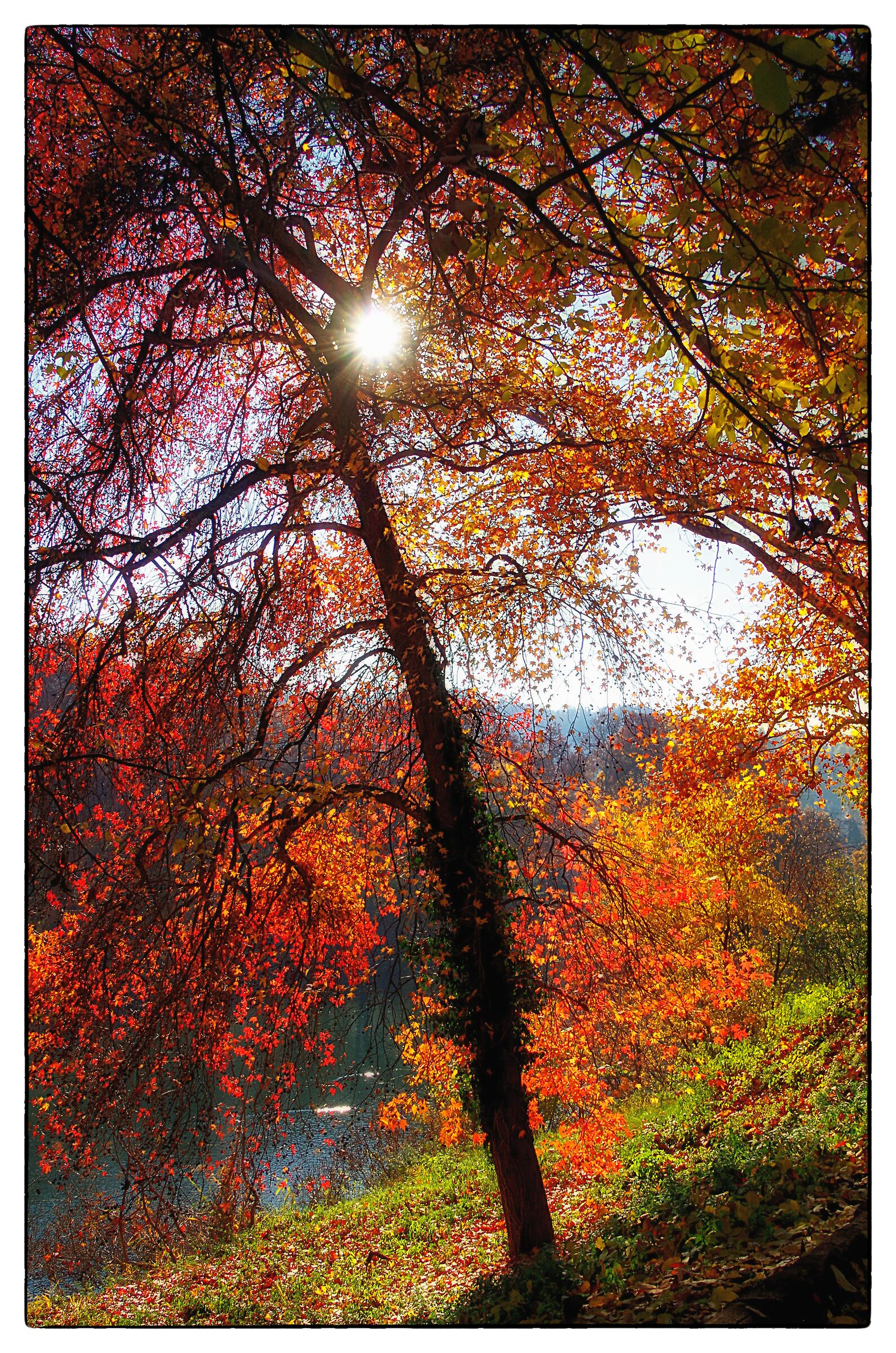 Walking along the Po