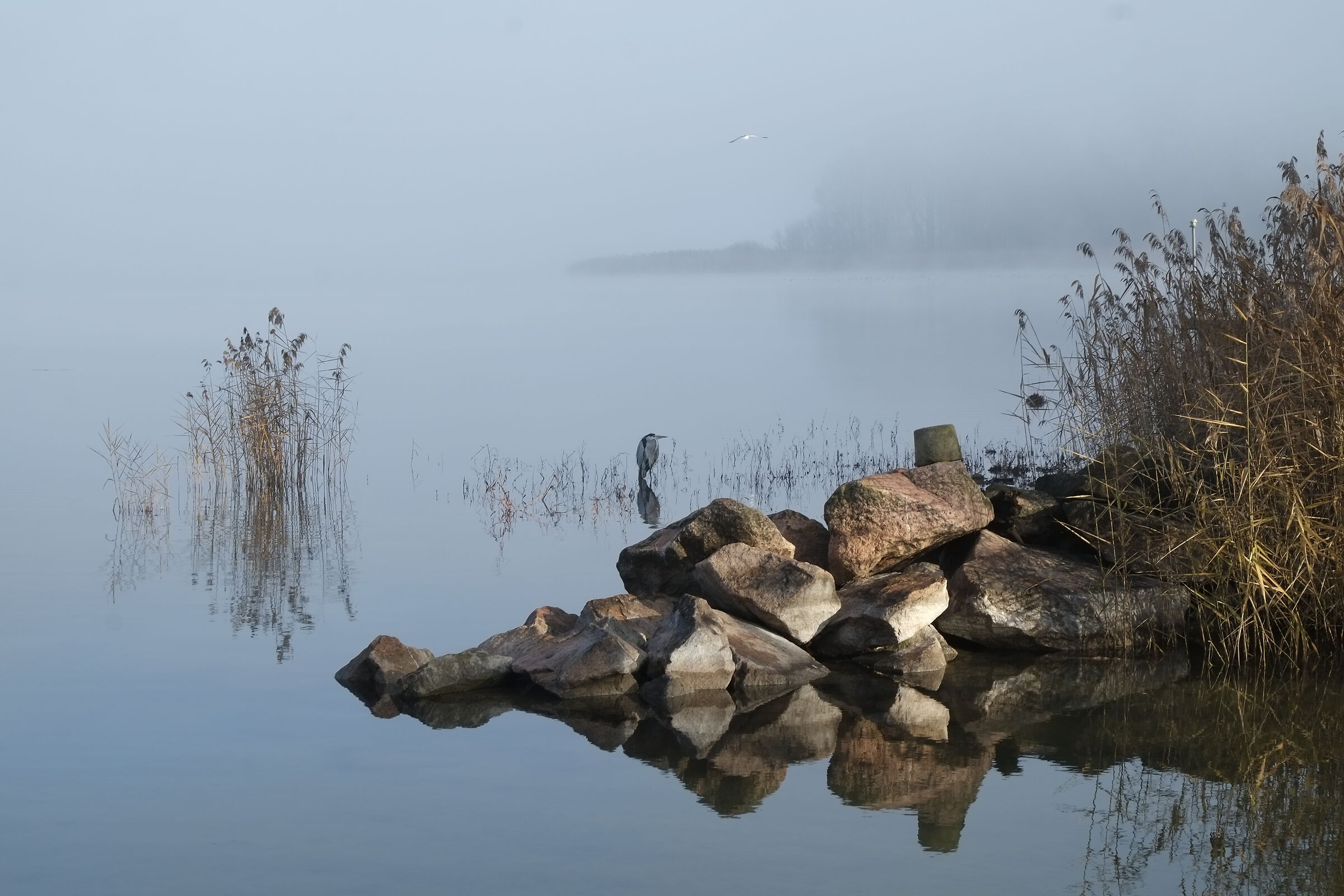 Cazzago Brabbia: Lake Varese