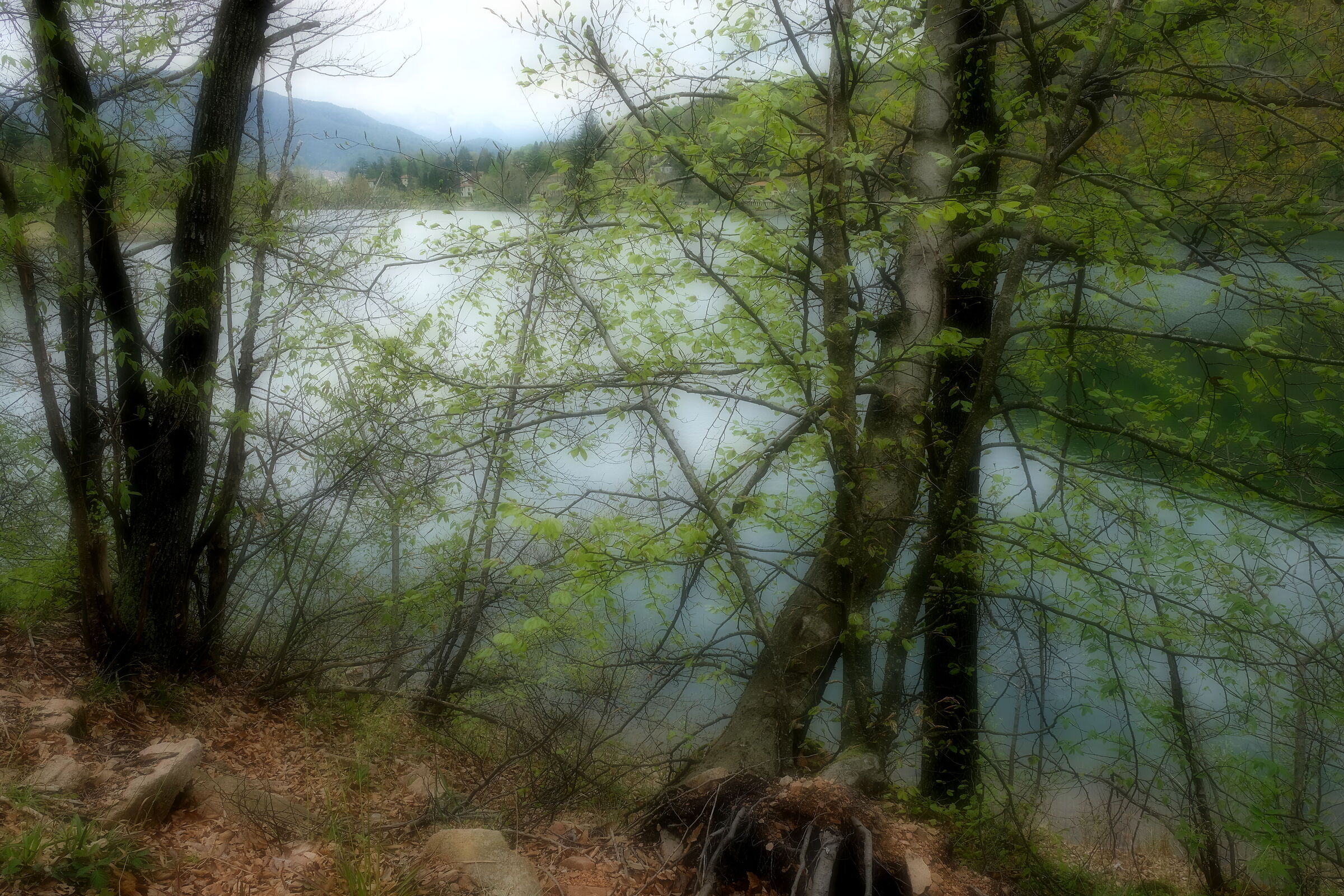 Untitled Photo