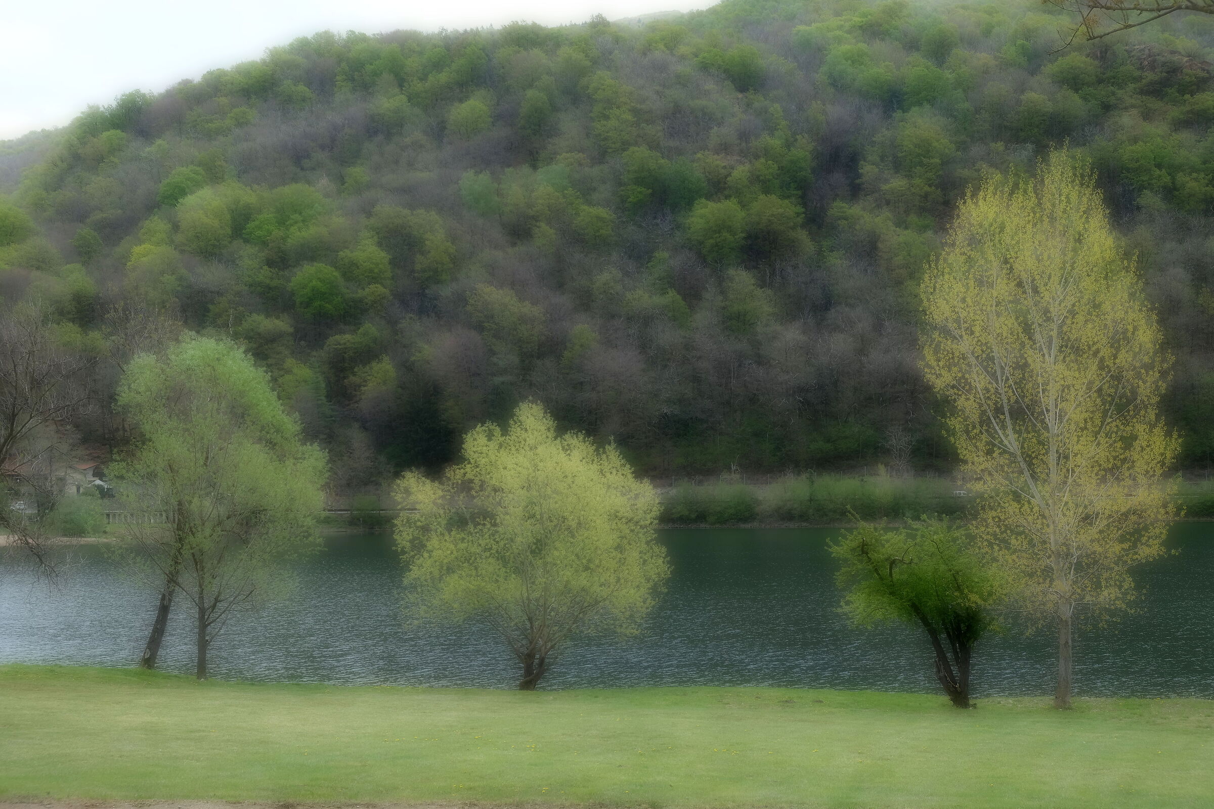 Soft shafts