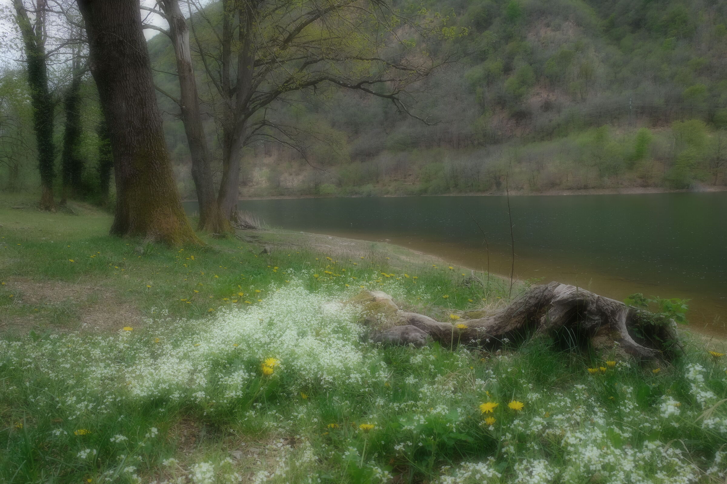 Lake peace