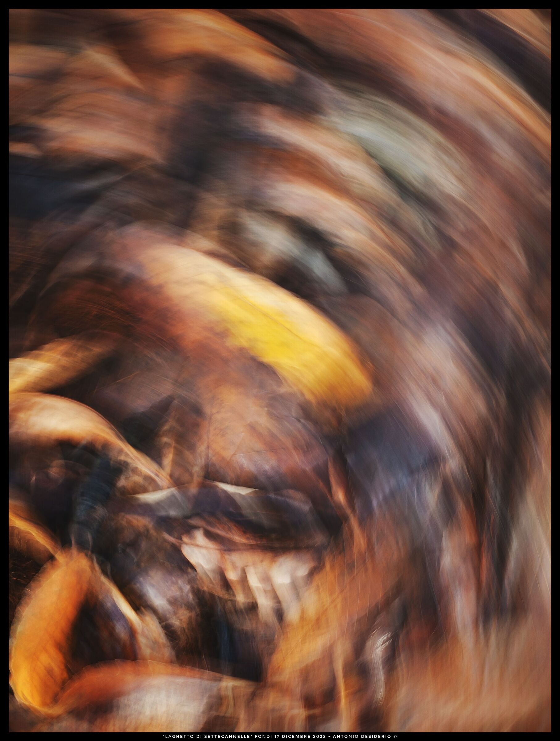 Pennellate d'autunno