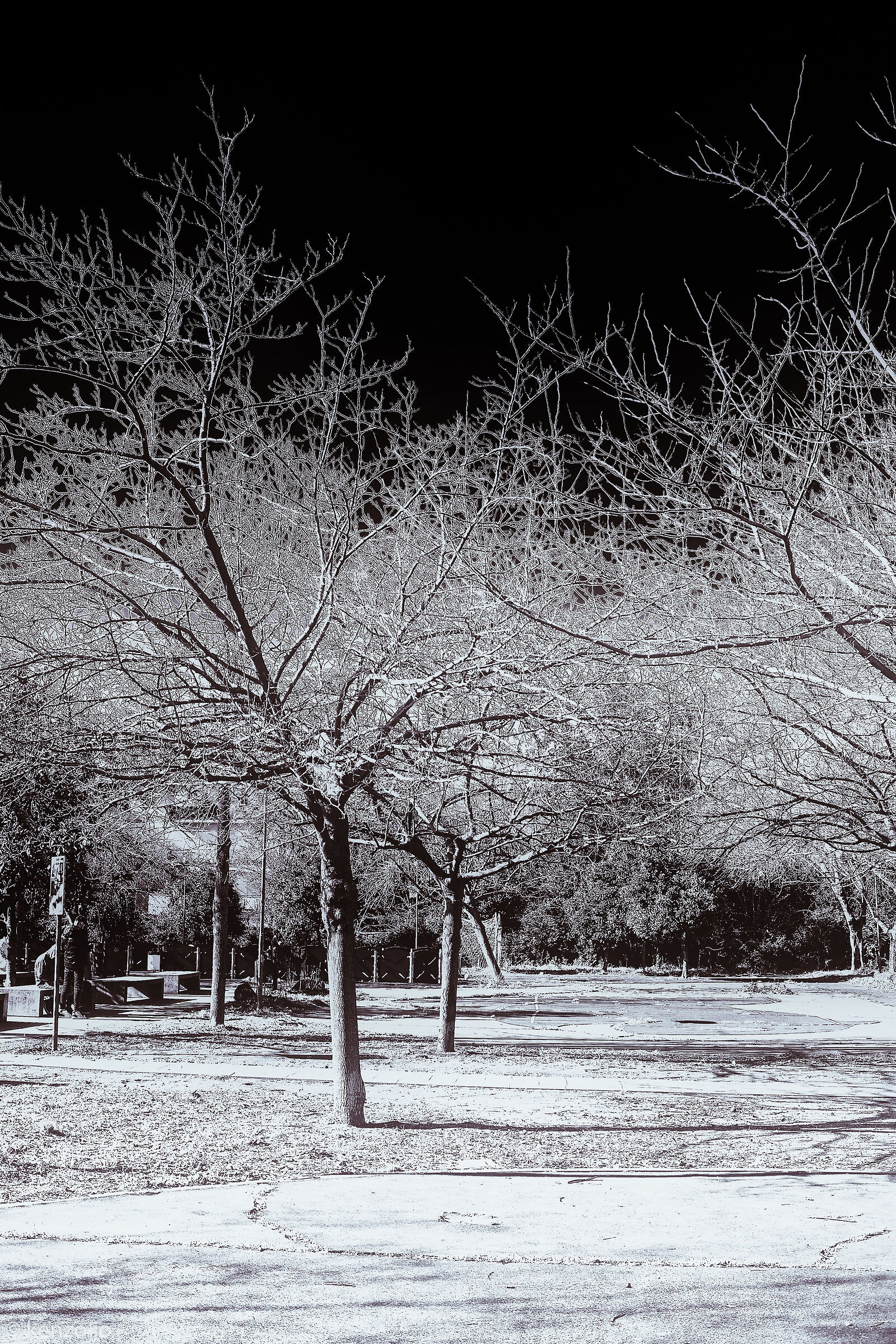 Soviet suggestion N.1