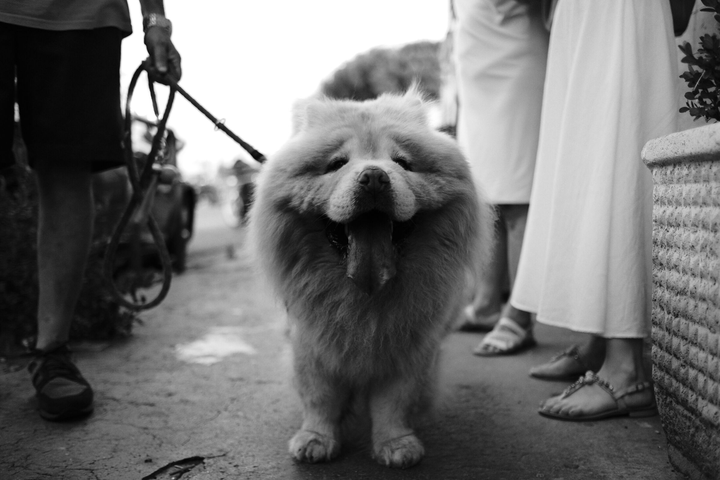 Smile