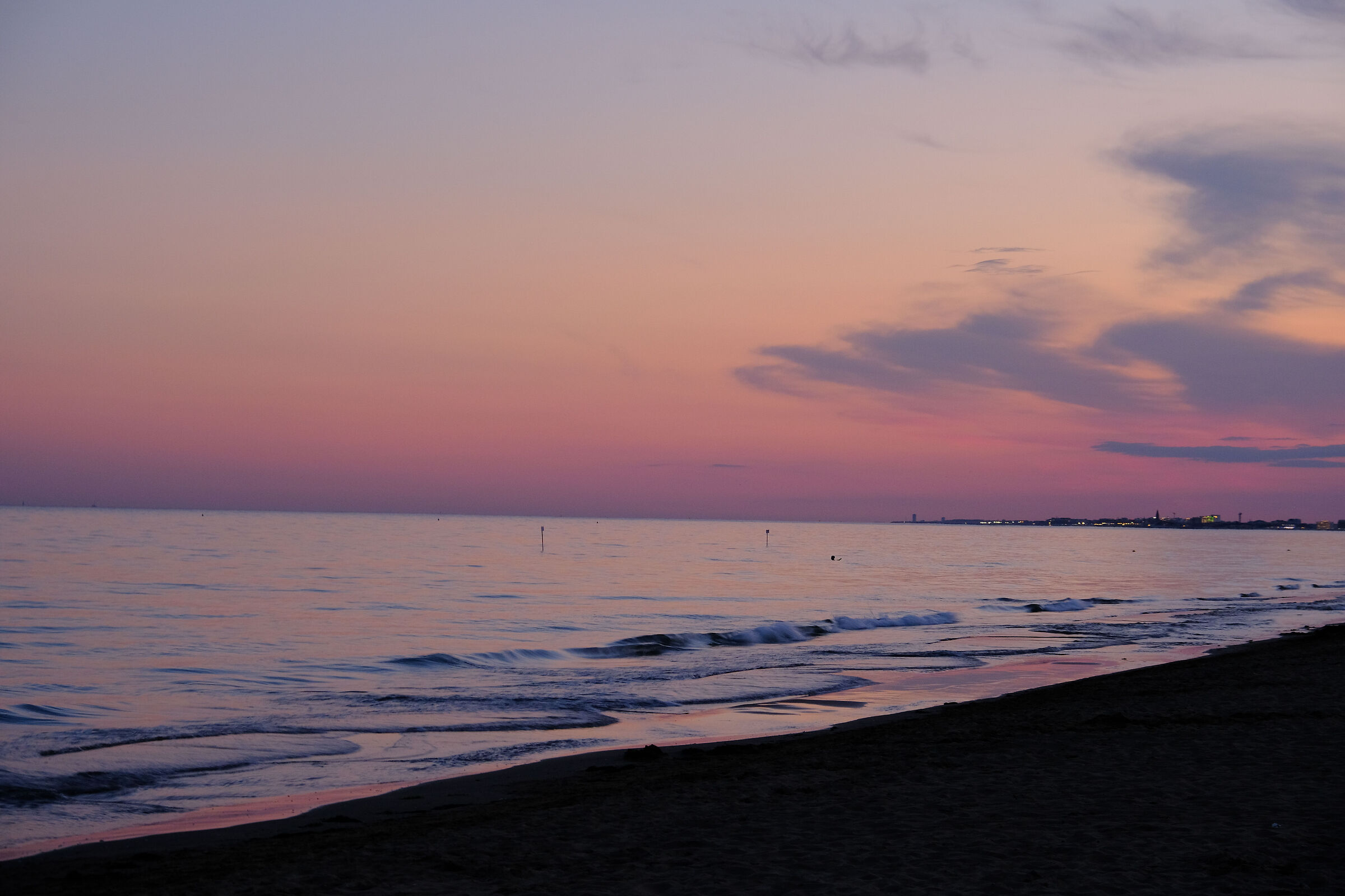 Untitled Photo