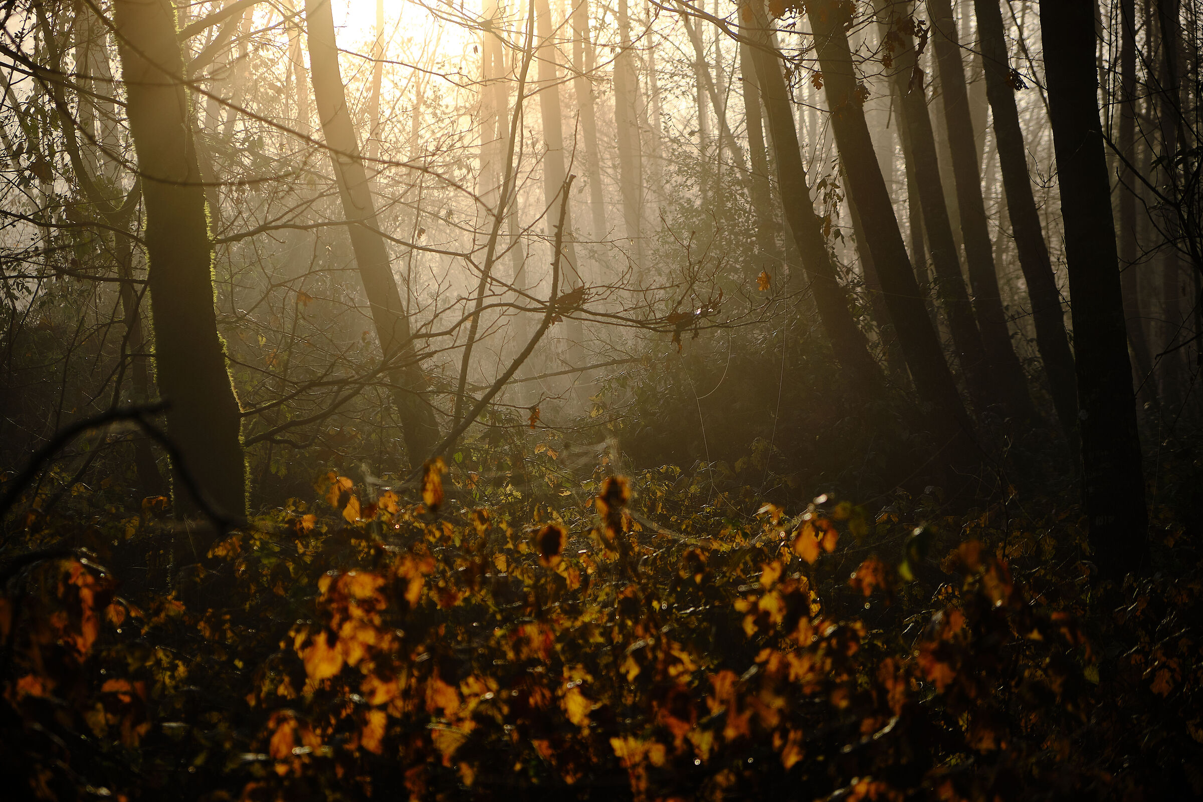 Untitled Photo