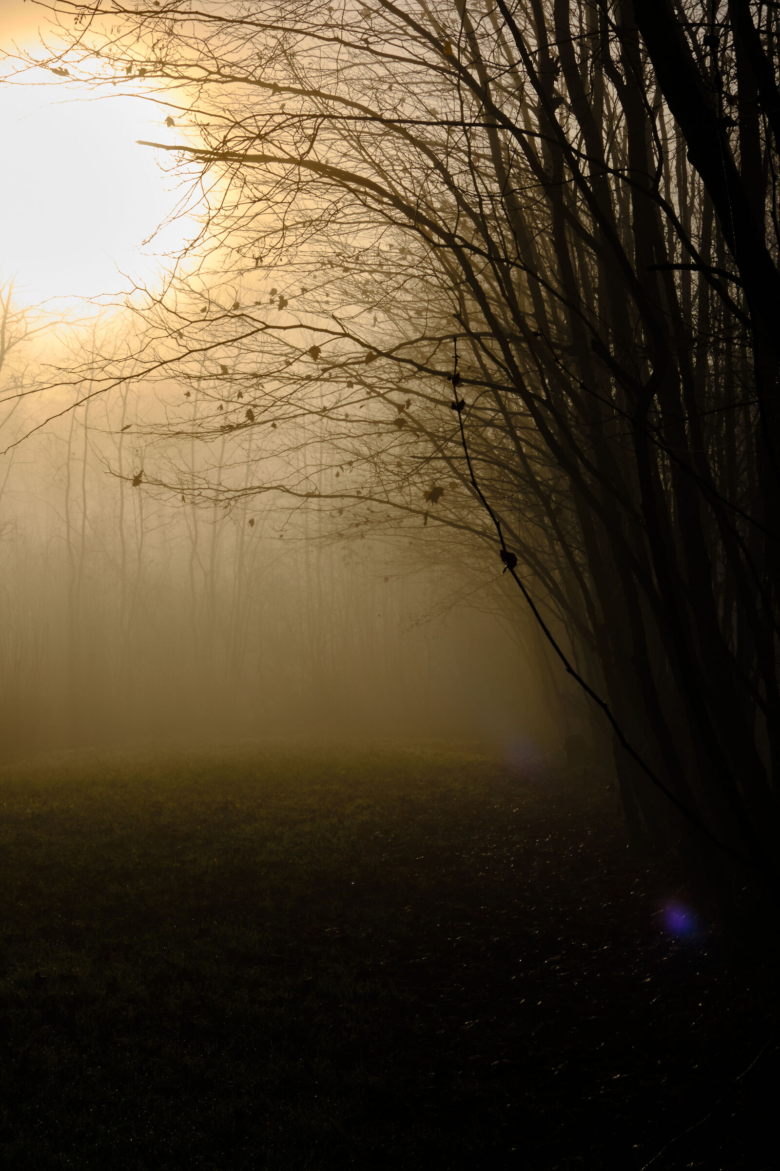 Untitled Photo