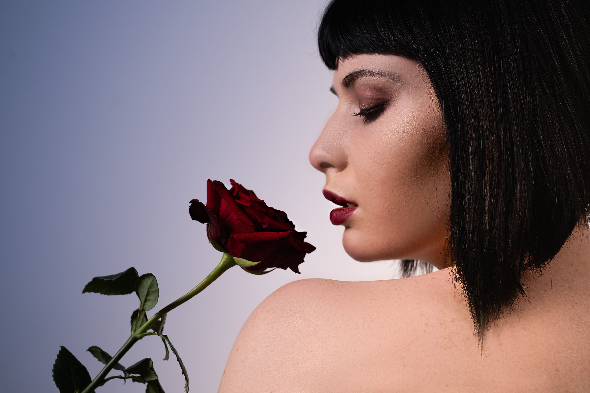 There is no rose...