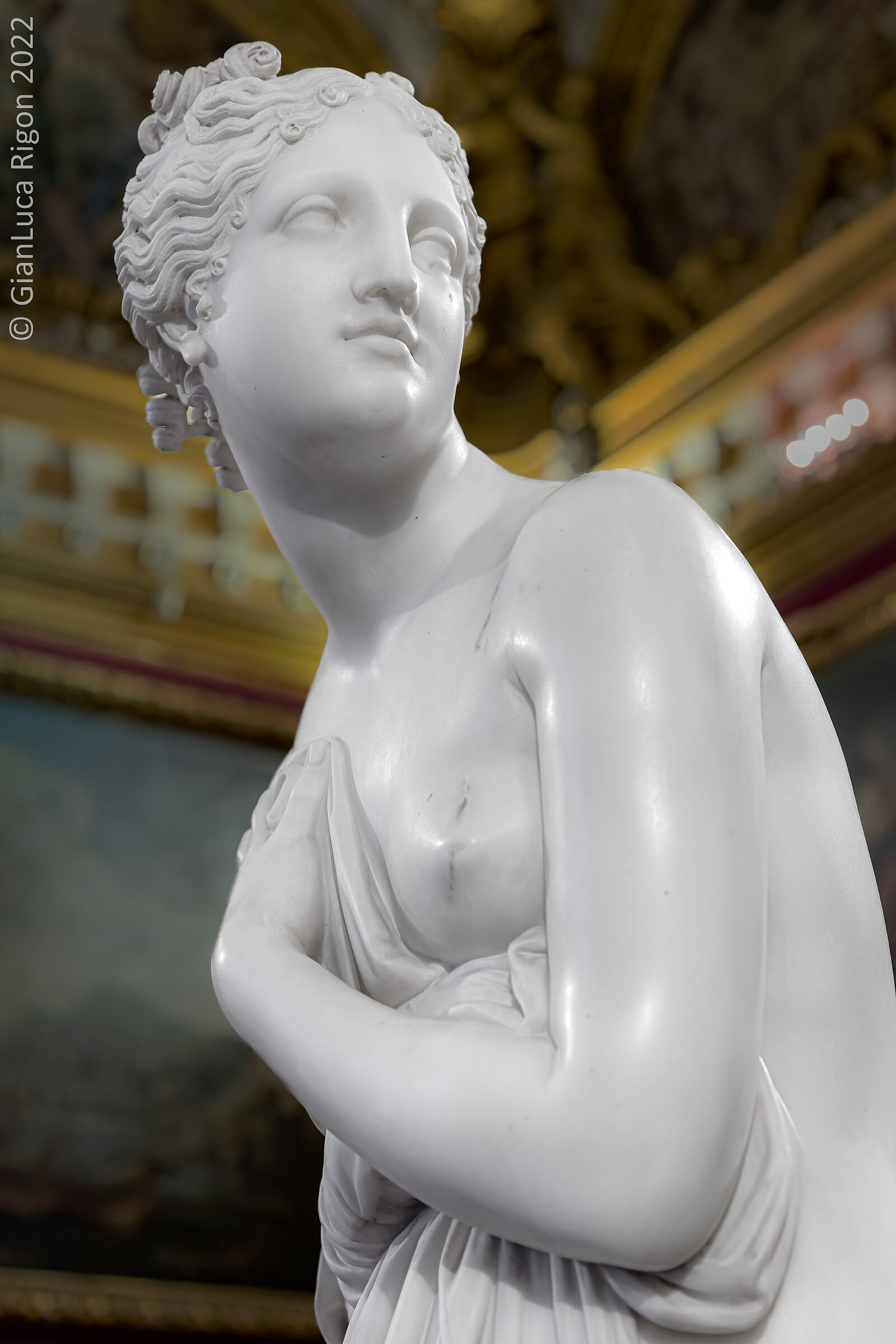 La Venere (A. Canova)