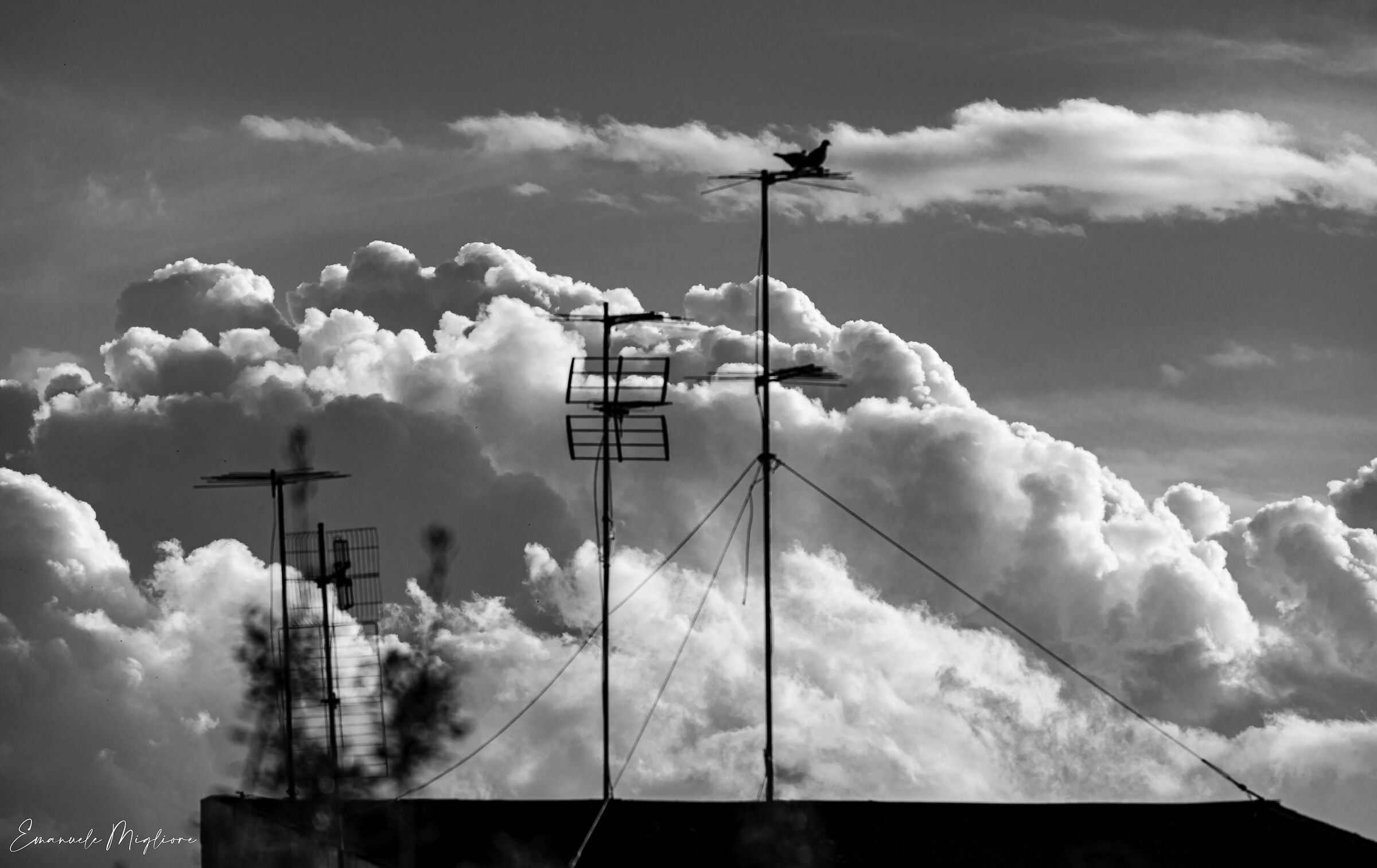 In attesa del temporale