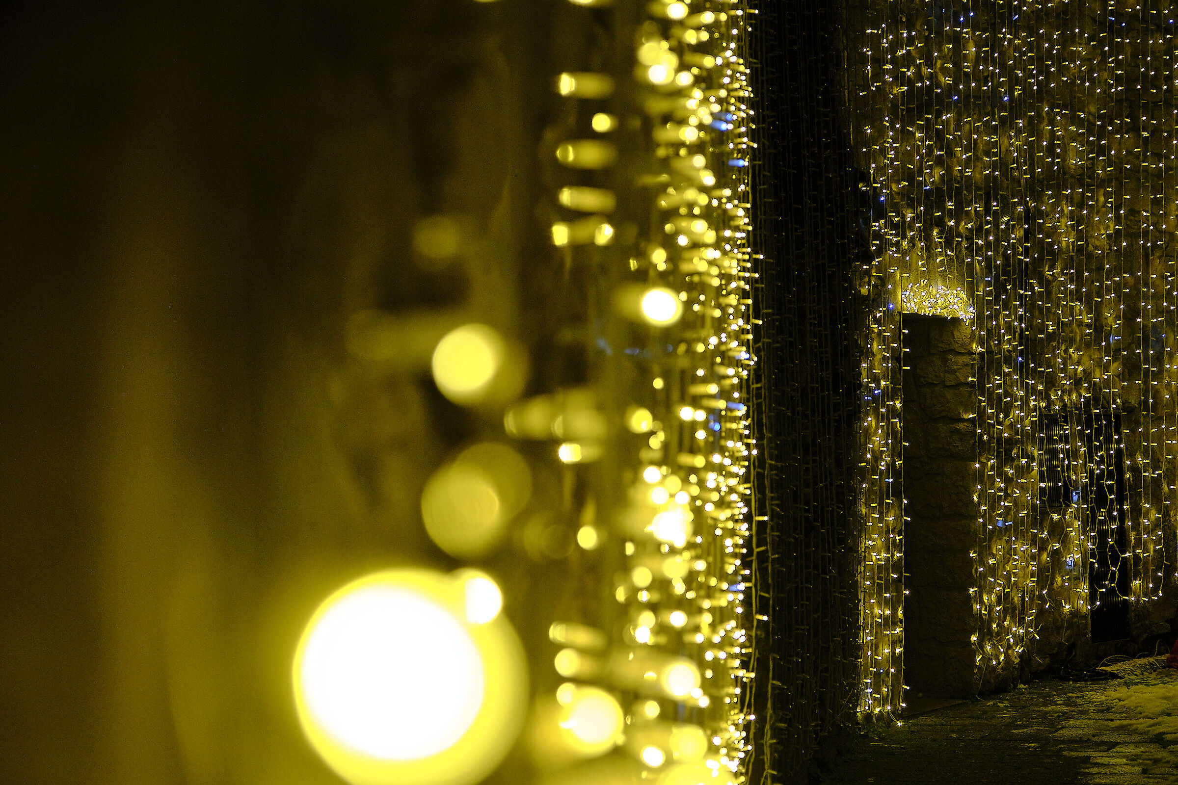 Christmas lights