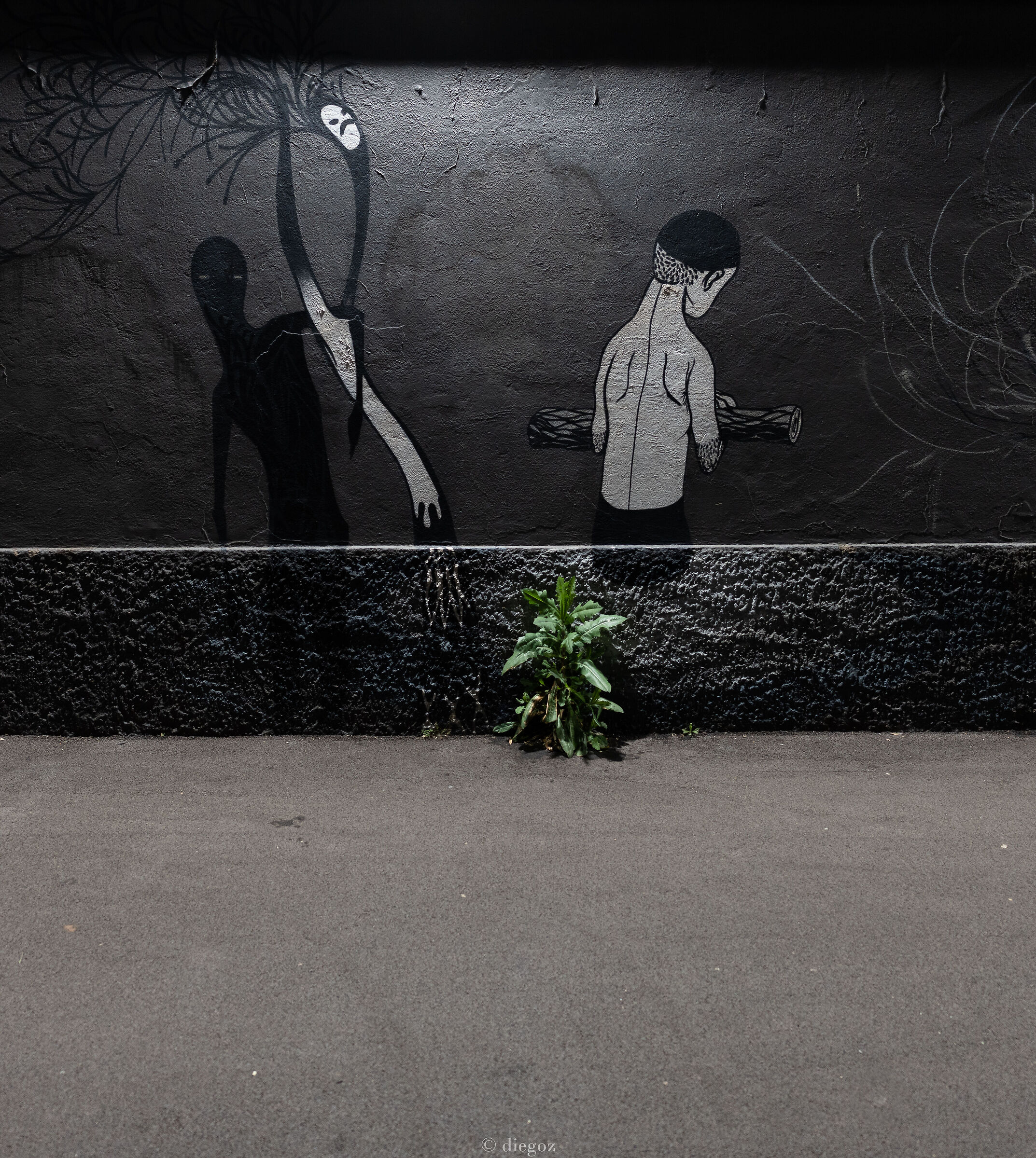 l'erba cresce ancora