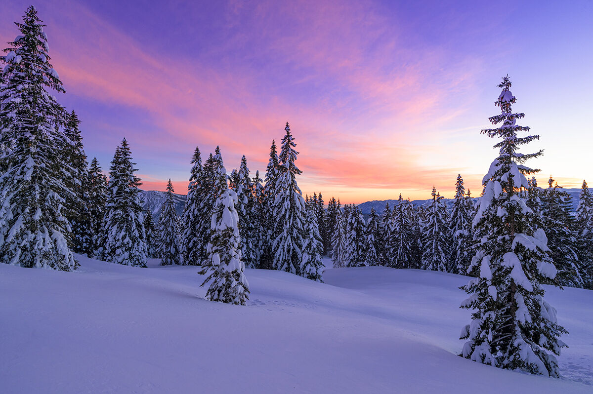 i colori dell'inverno