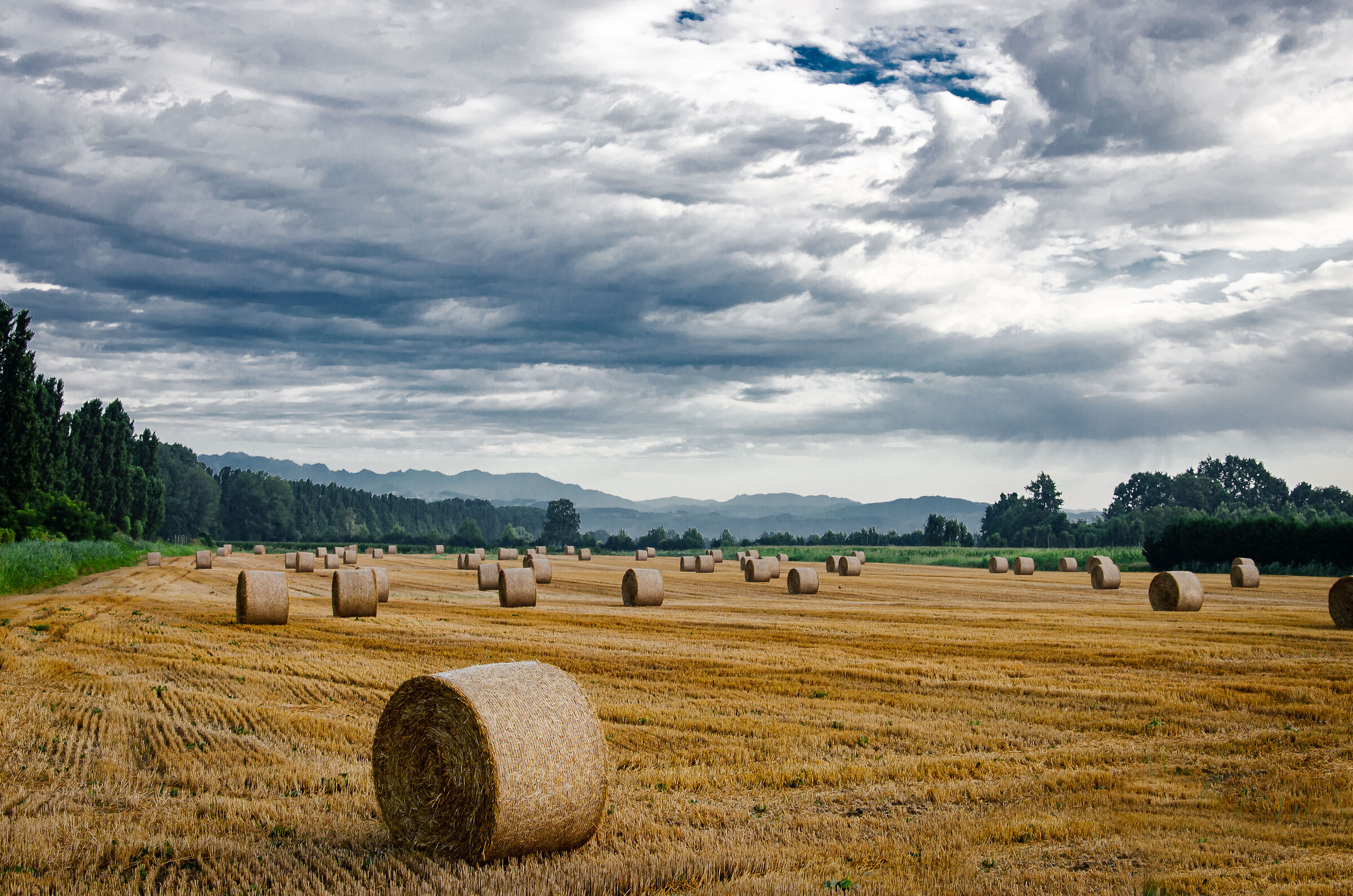 Bales of hay