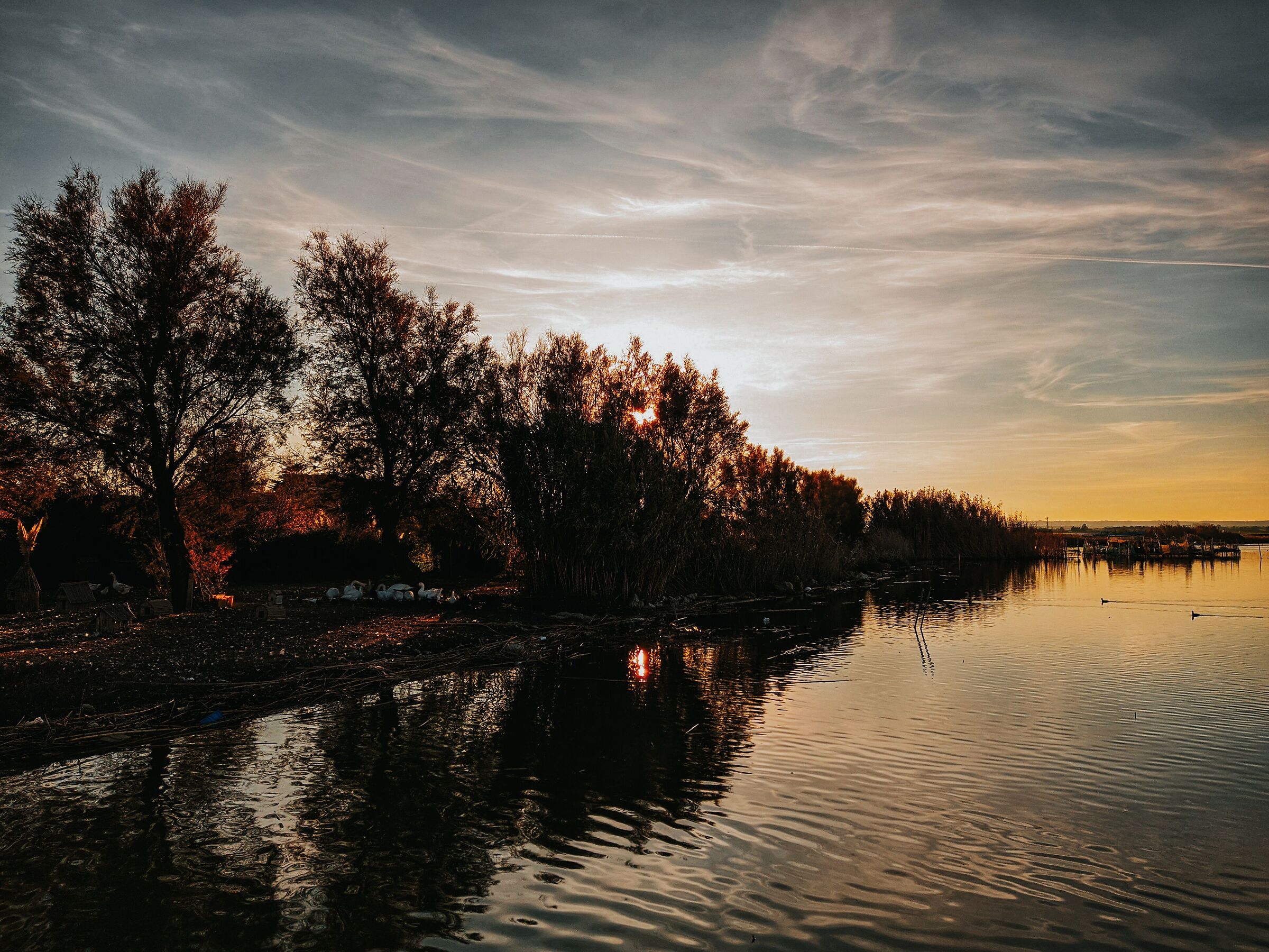 Lake Lesina (Foggia)