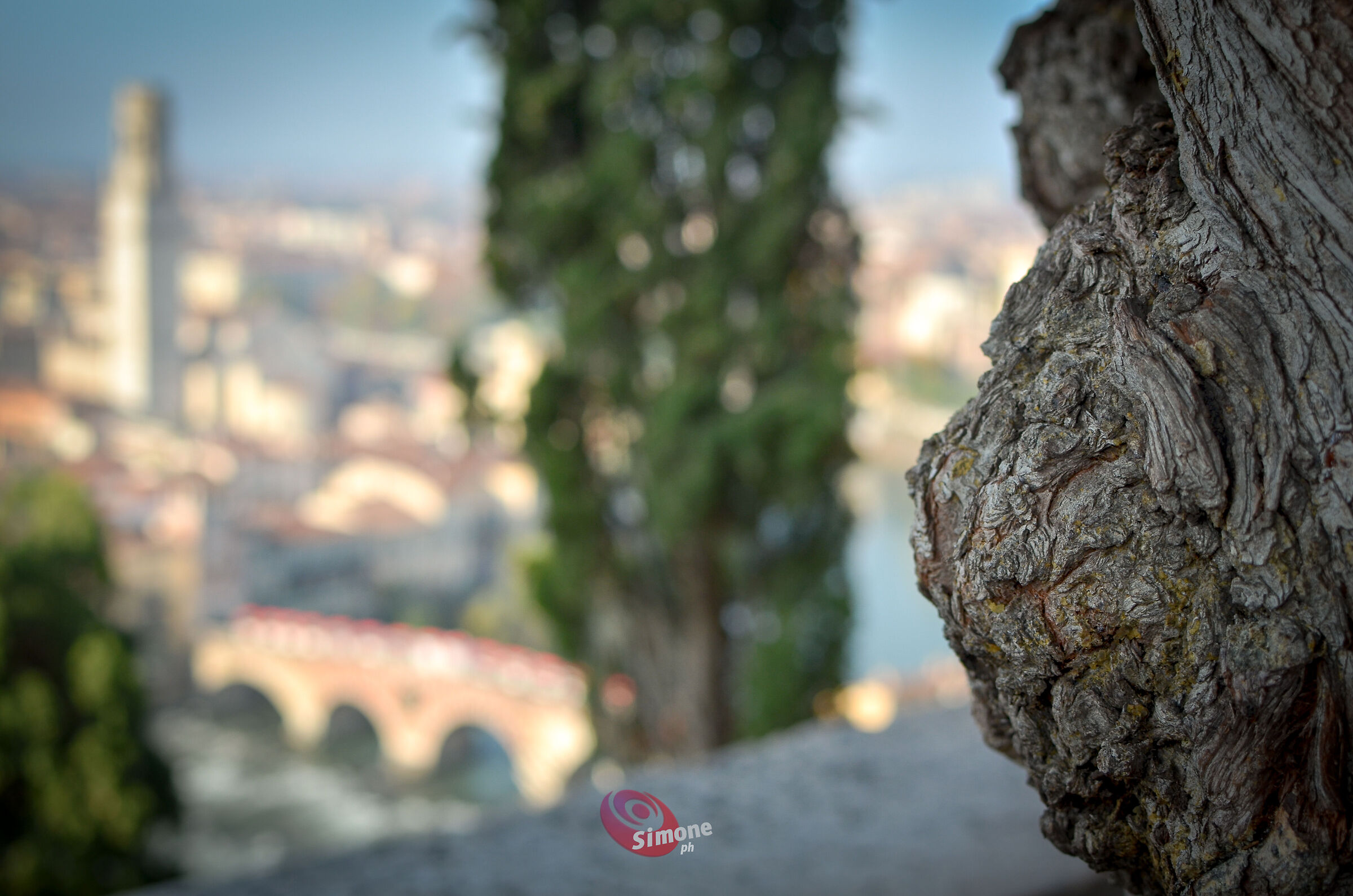 Pareidolia - Lion inviting passers-by to enjoy the