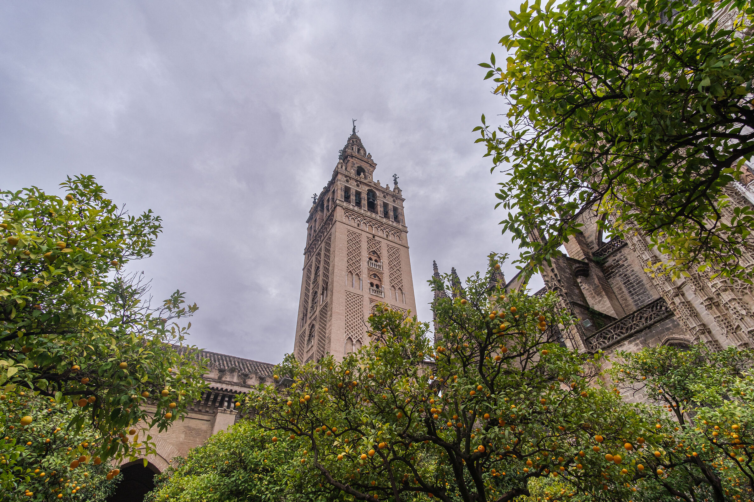 Seville Cathedral