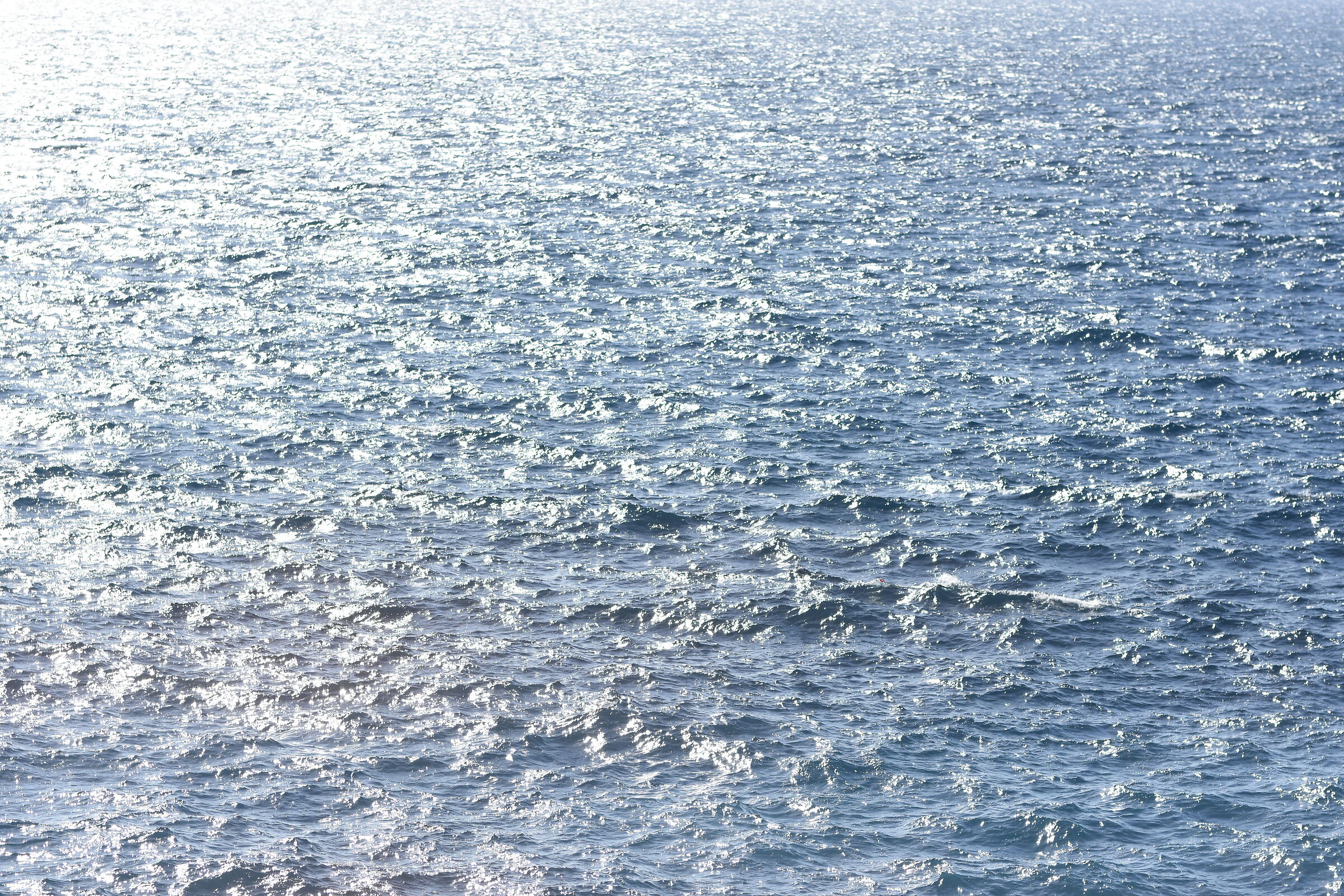" F. 2.8 ", 1/ 8.0 0 0, ISO 250- Sigma 85, 1.4 Art