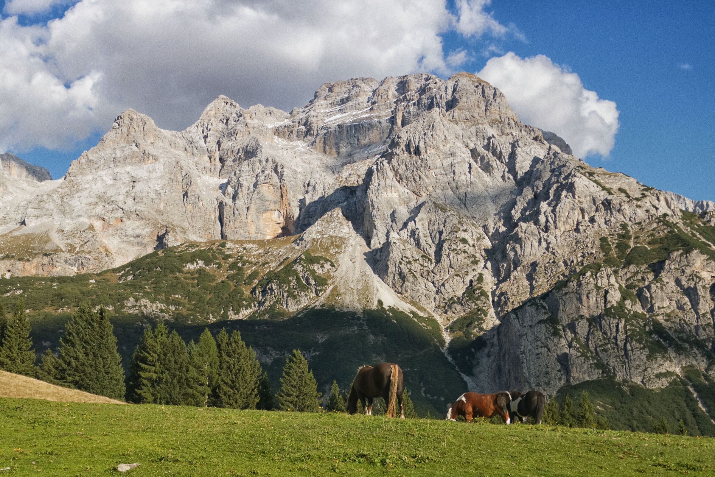 Brenta- Vallon from Molvina