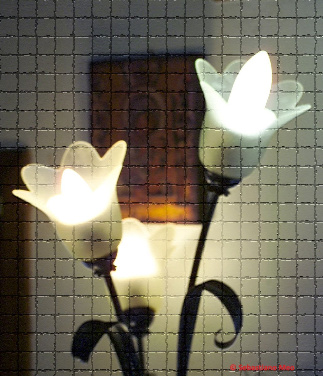 Light and Shadow