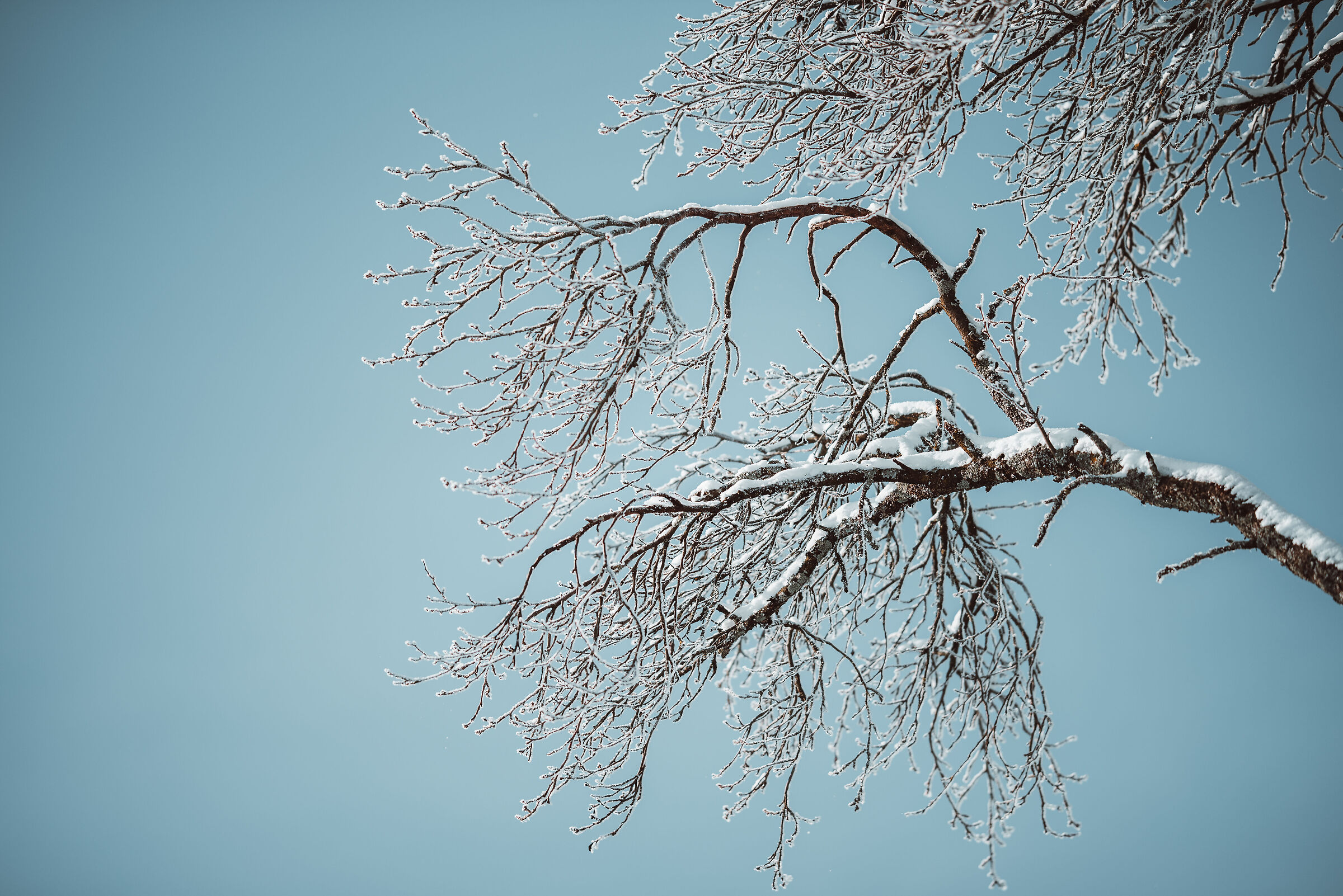 Inverno in blu.