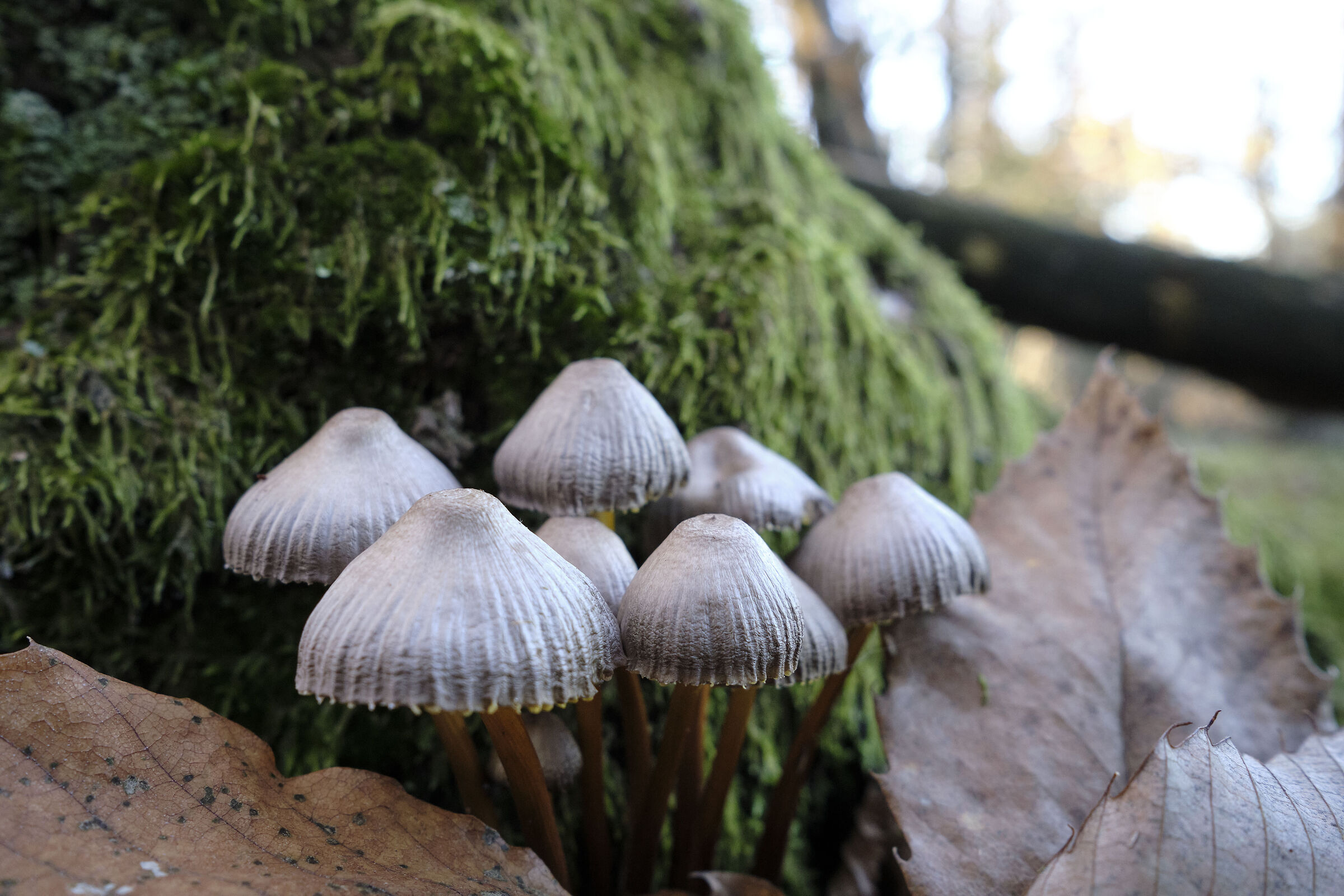 Famigliola al riparo!