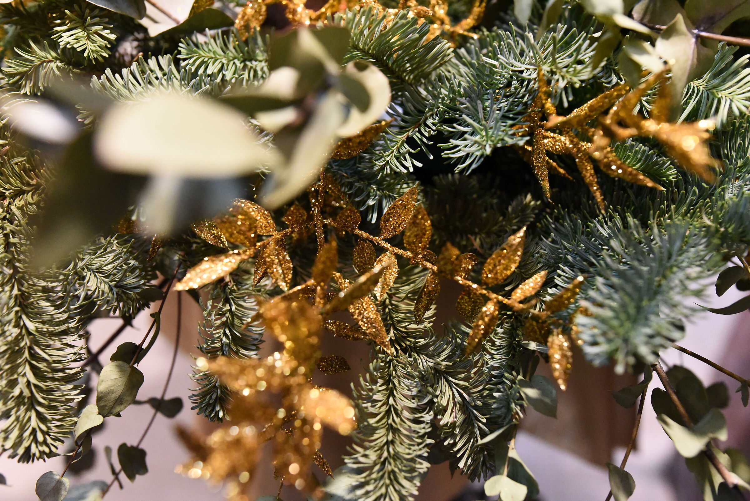 " ISO 12. 8 0 0 ", F. 3.3, 1/ 250- Sigma 28, 1.4 A...