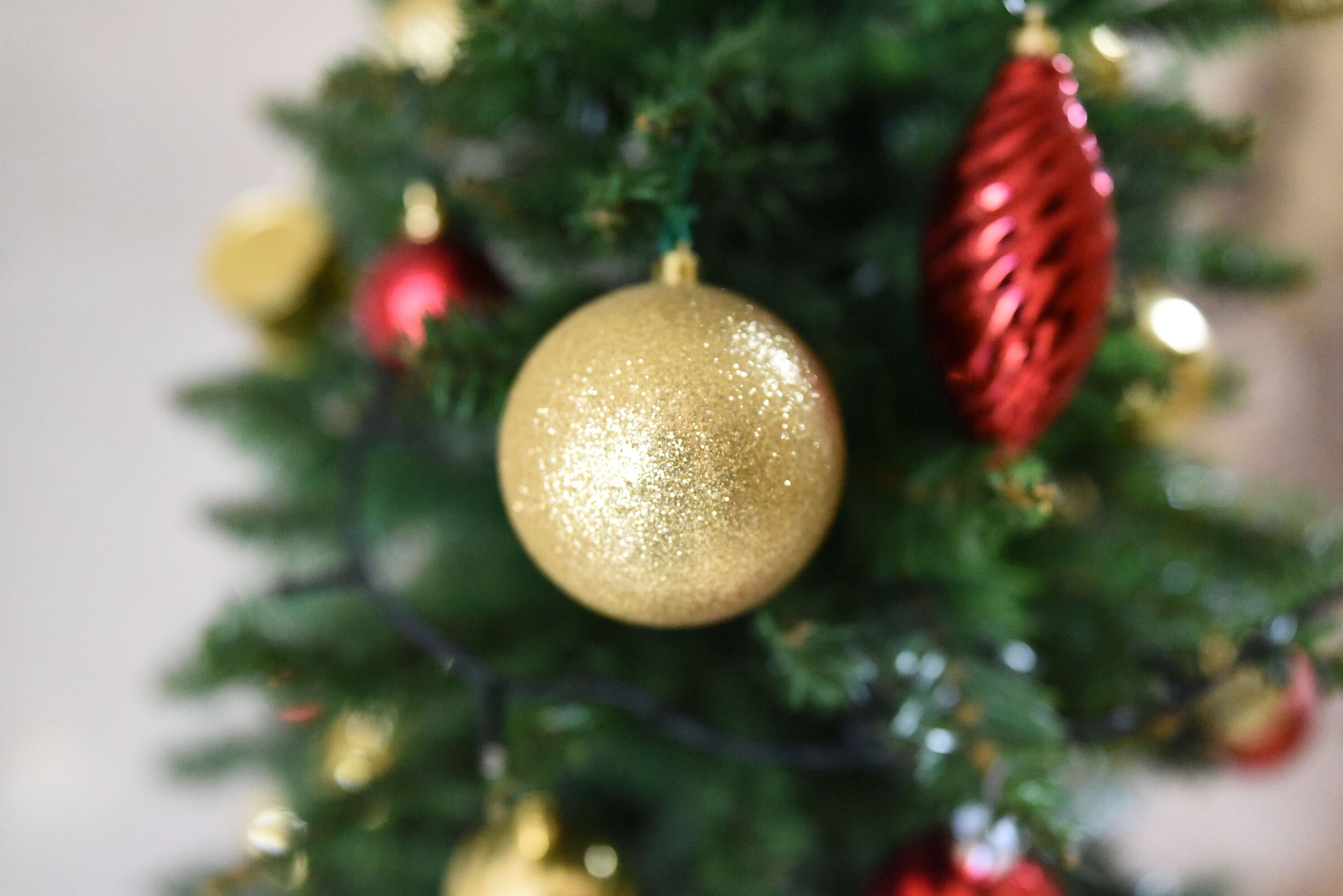 " F. 1.7 ", ISO 12. 8 0 0, 1/ 4.0 0 0- Sigma 28, 1...