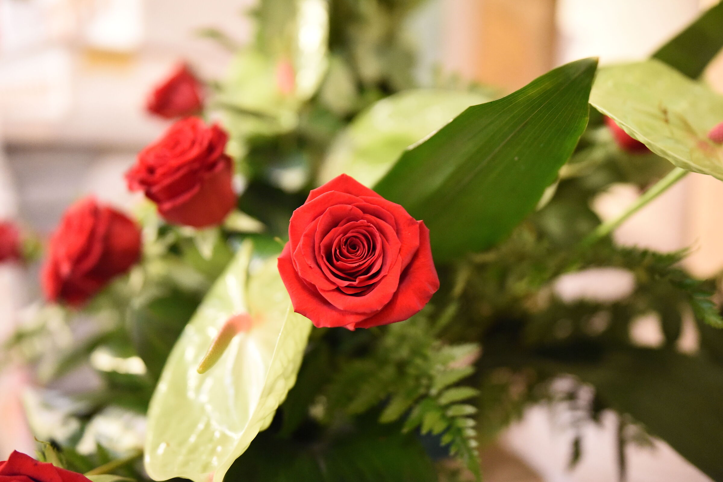 " F. 1.4 ", ISO 8.0 0 0, 1/ 60- Sigma 28, 1.4 Art