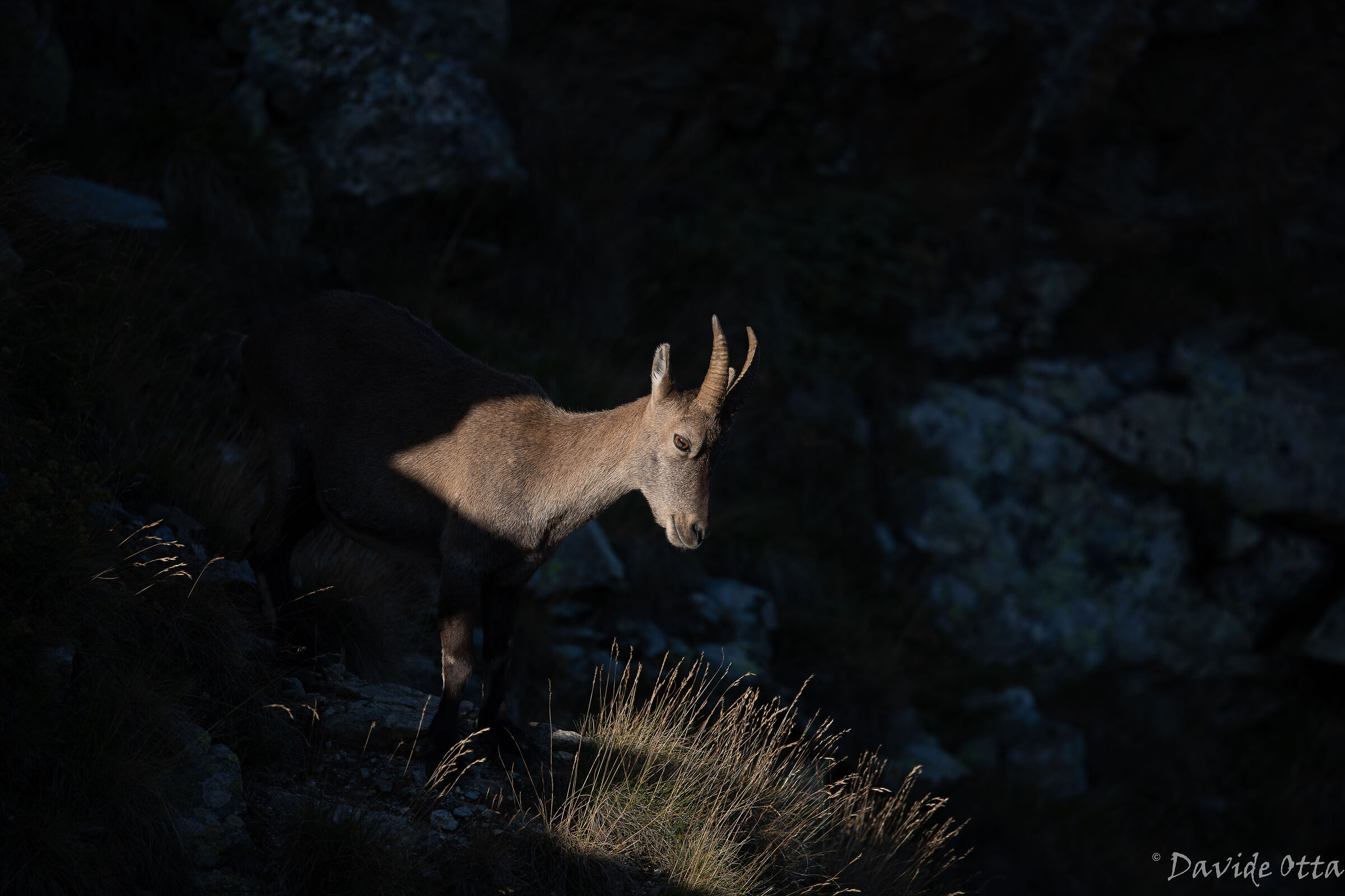 The last heat of the day