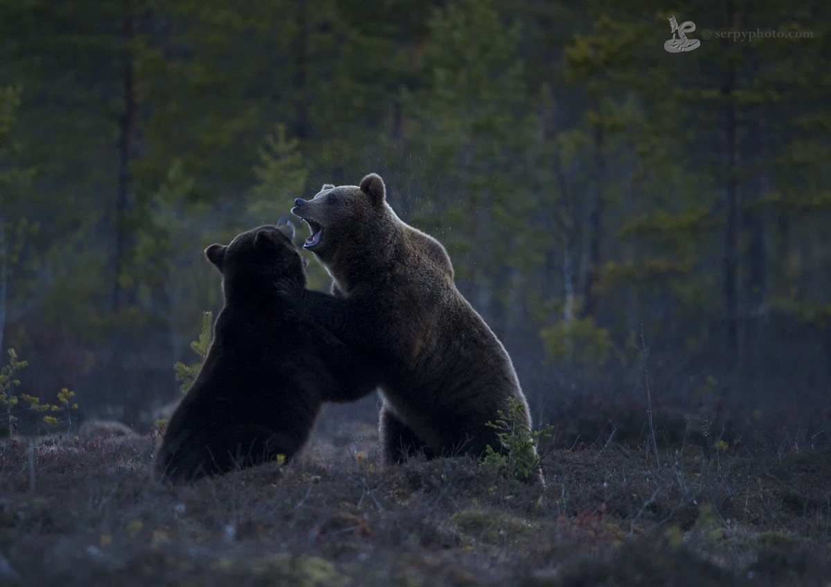 Lotta nell'oscurità