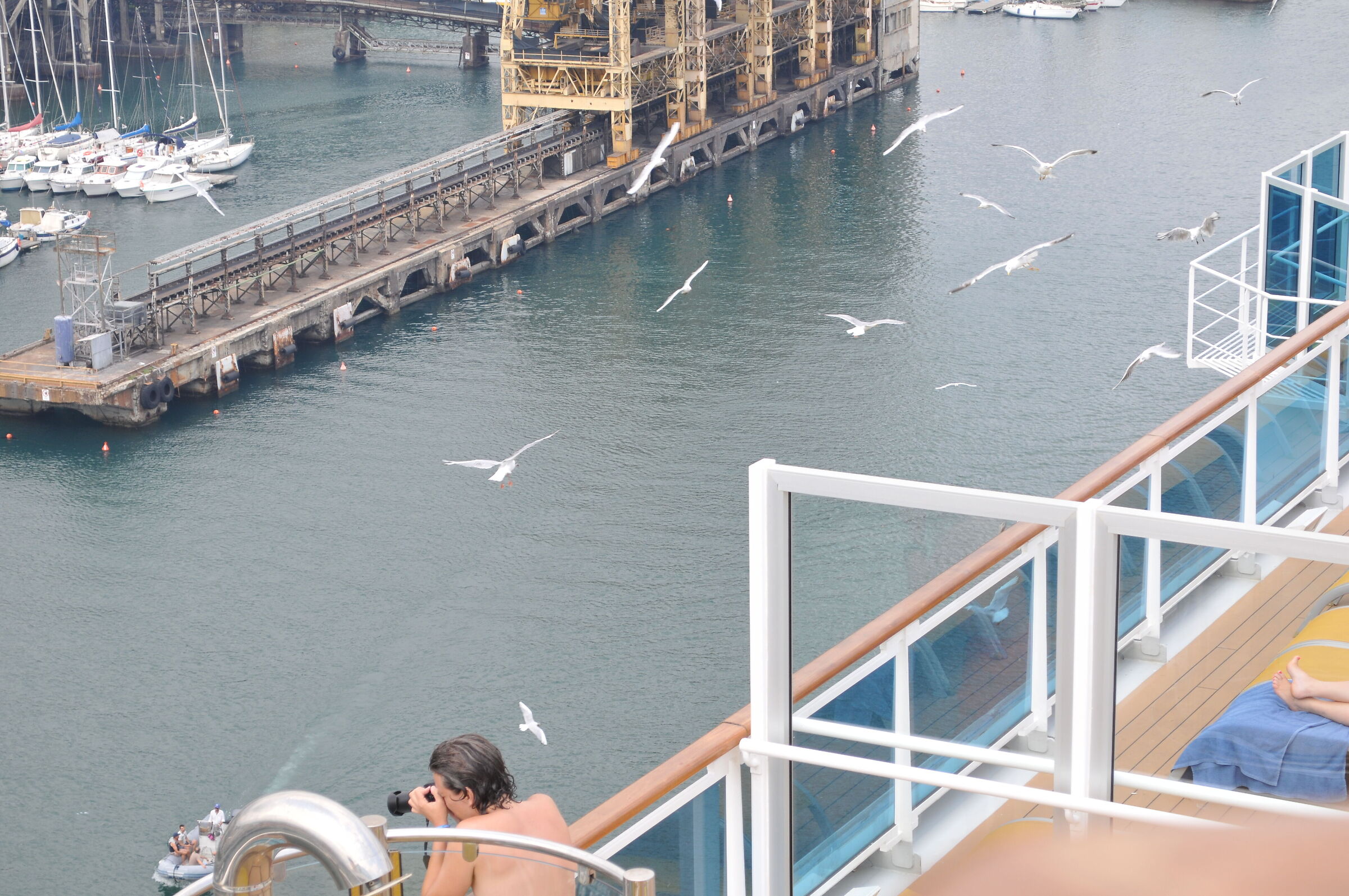SHIP - COSTA DIADEMA