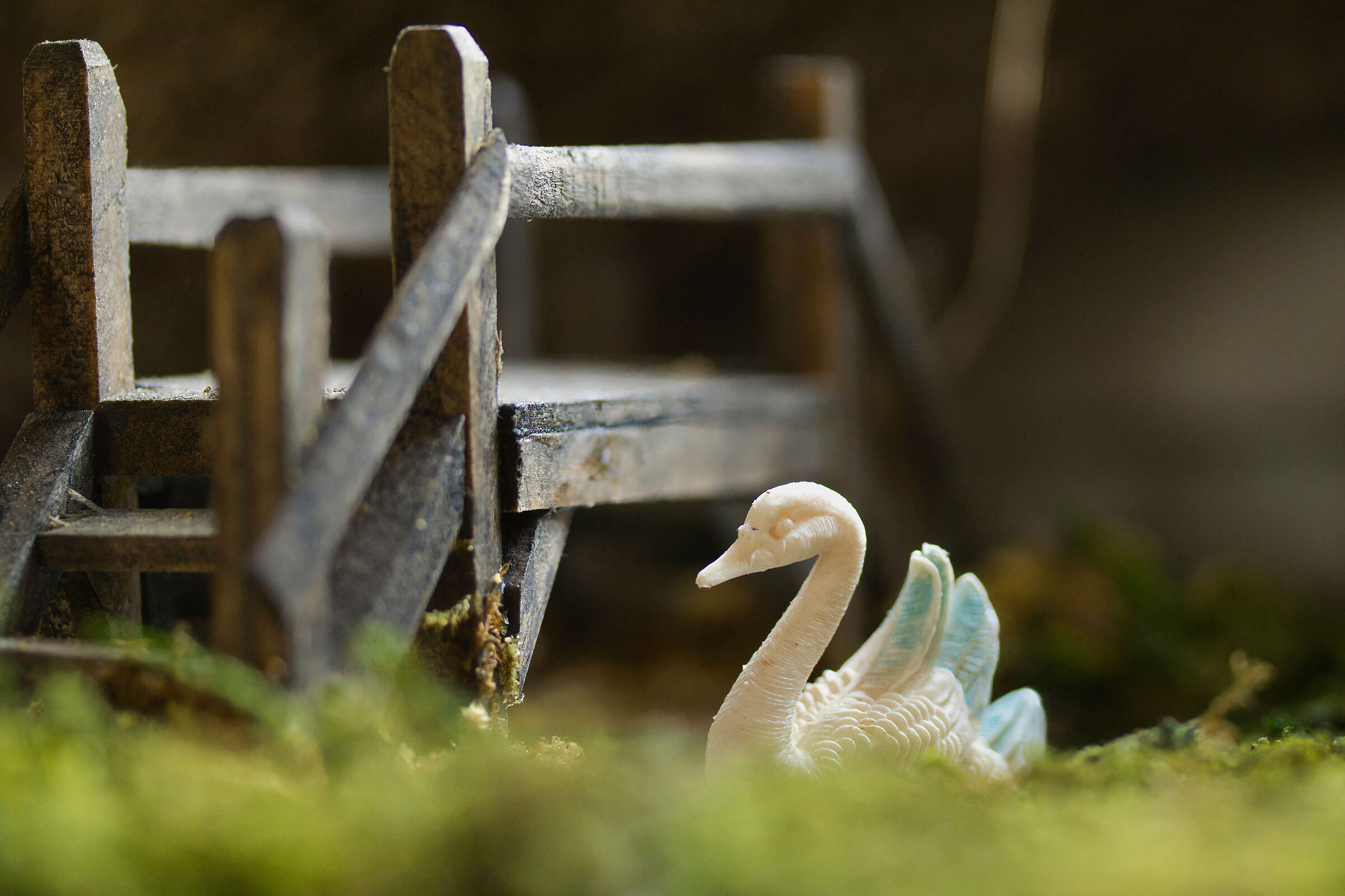 SWAN AND BRIDGE