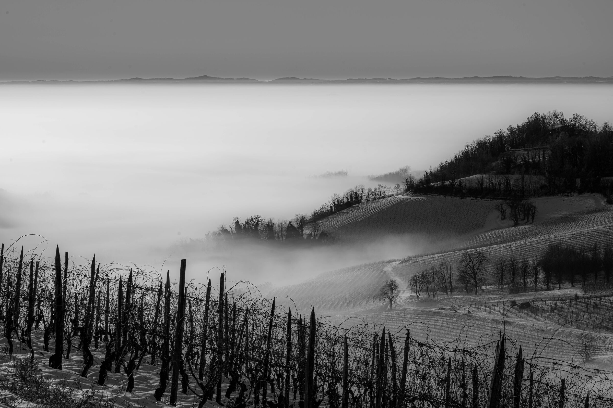 Hill b/w