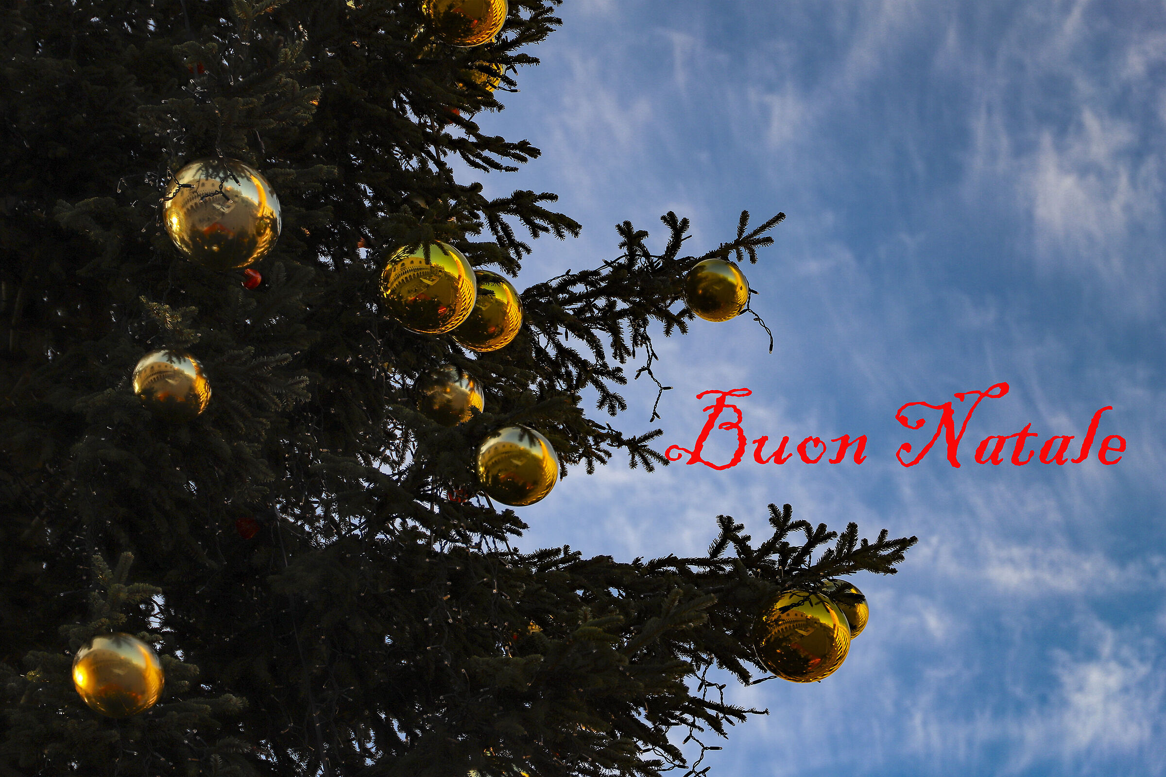 Buon Natale