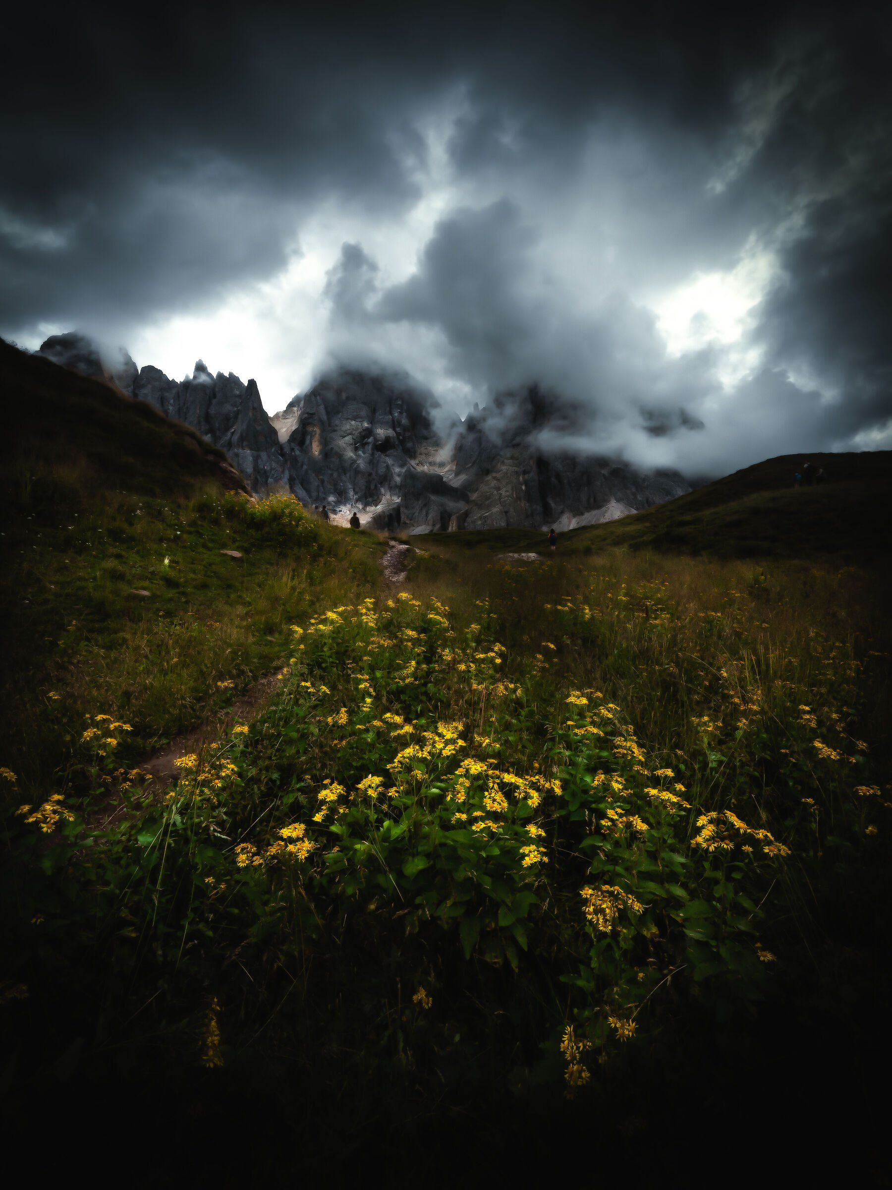Pale di San Martino