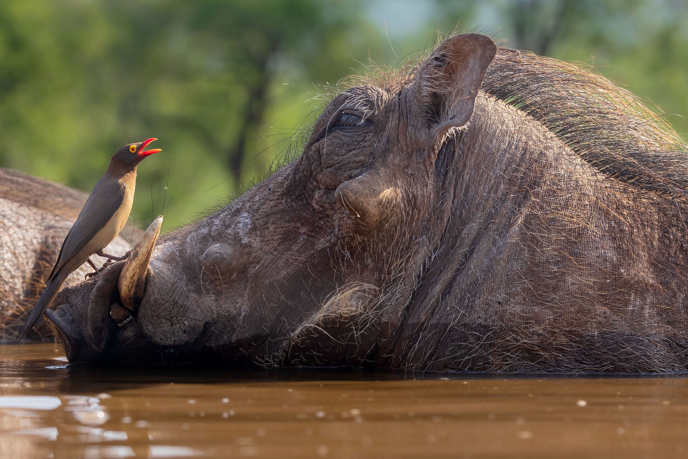 ...solito trattamento?...